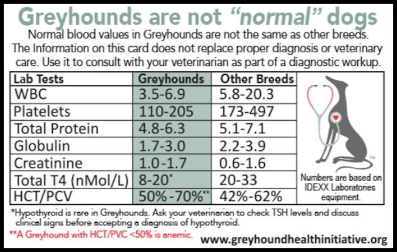 Veterinarians — Blue Ridge Greyhound Adoption