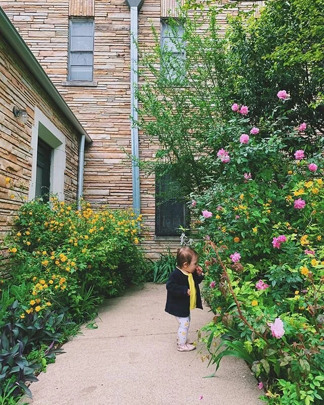 My kid likes to eat flowers.