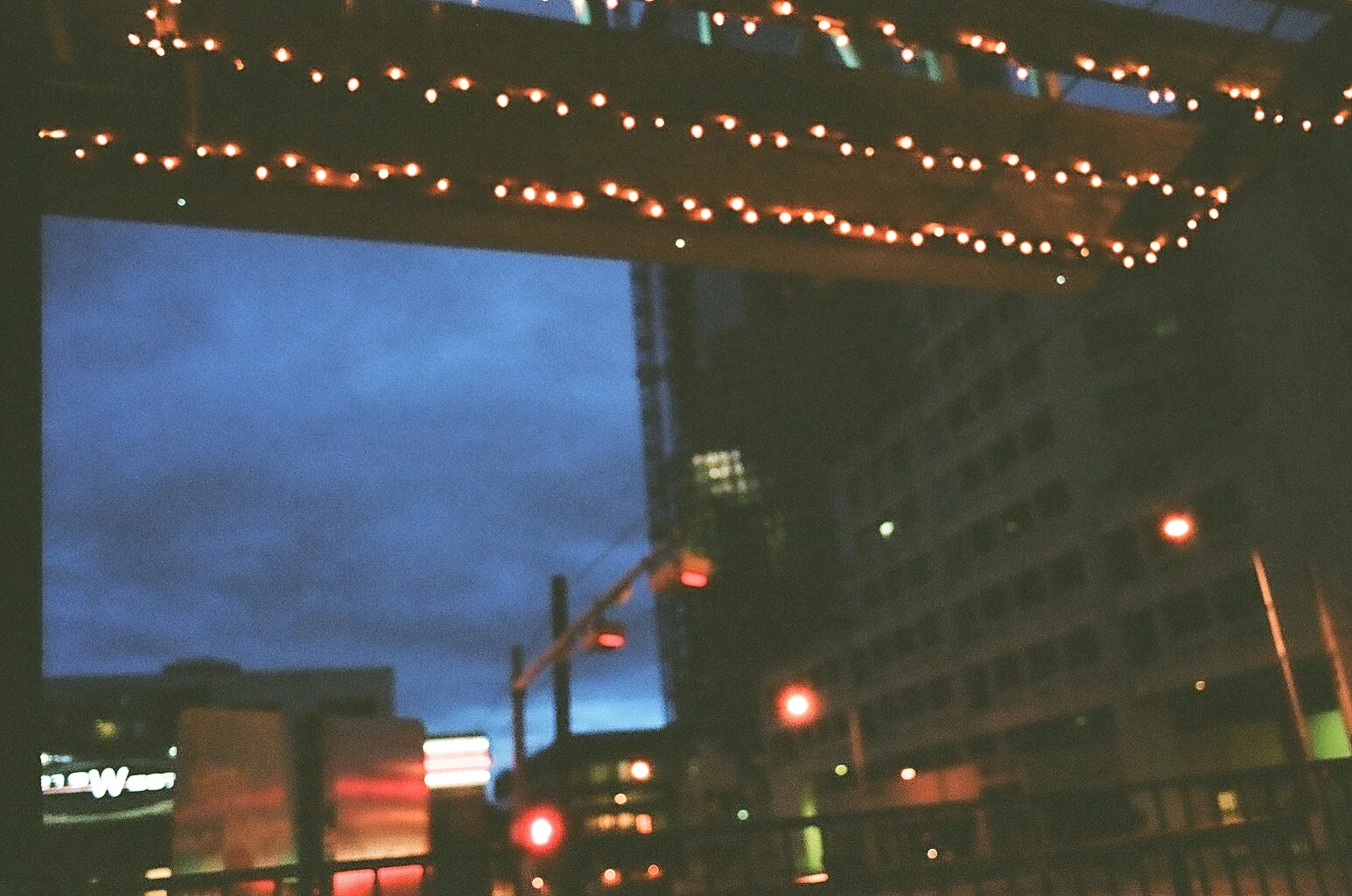 20400022.jpg