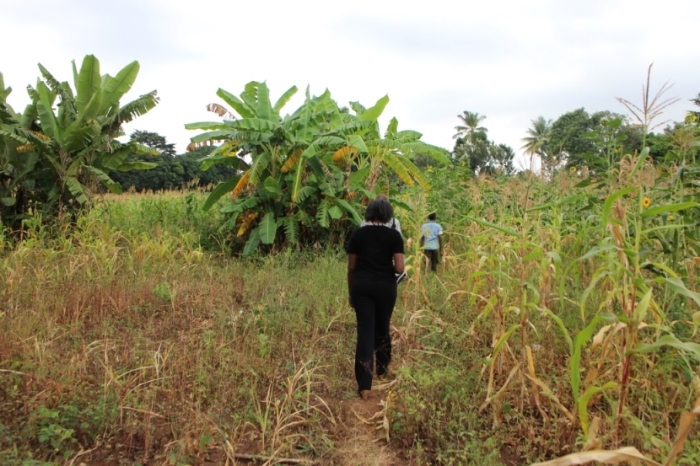 Margaret Walking through the land the foundation hopes to buy