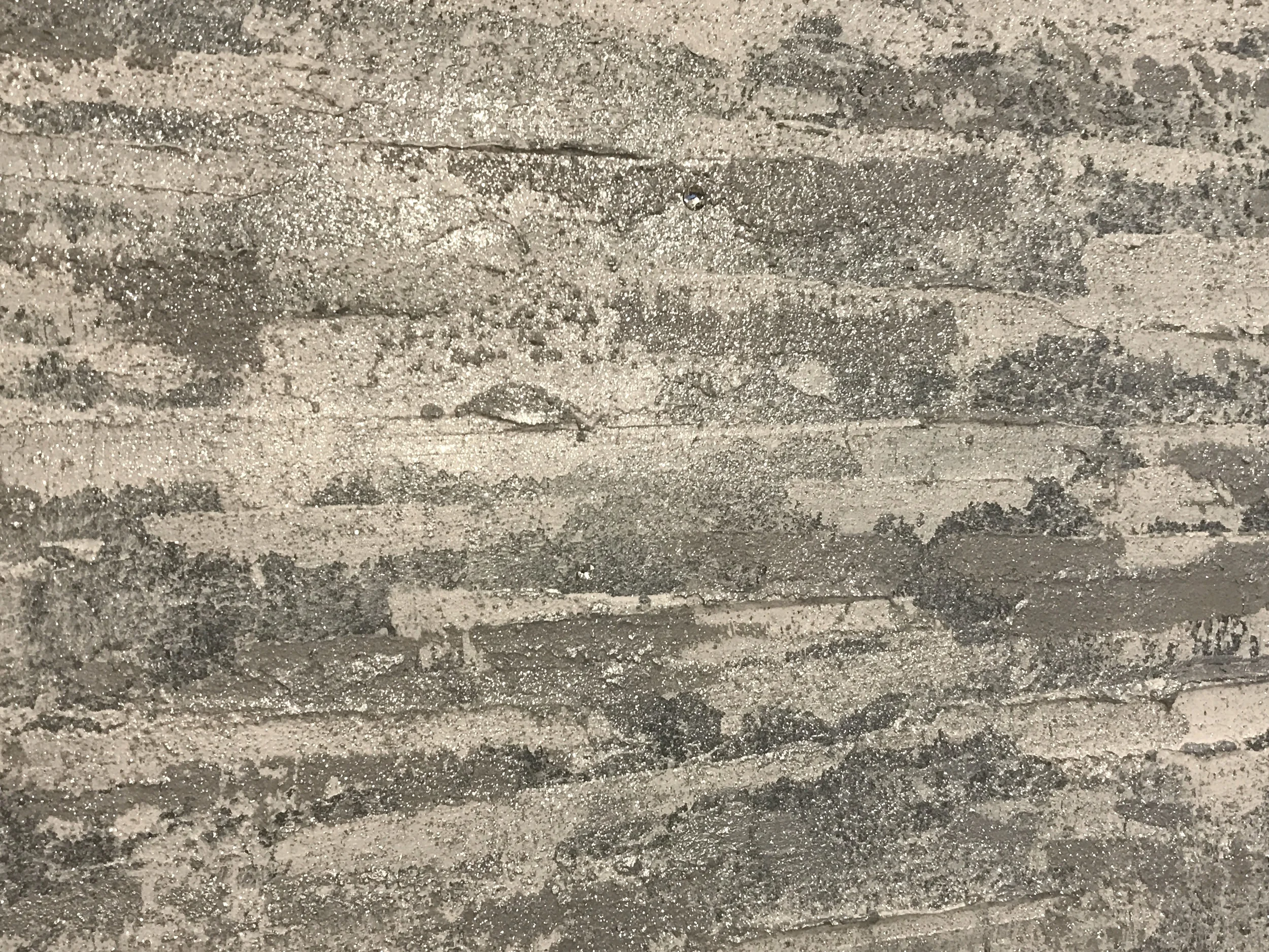 Silver Diamond (detail)