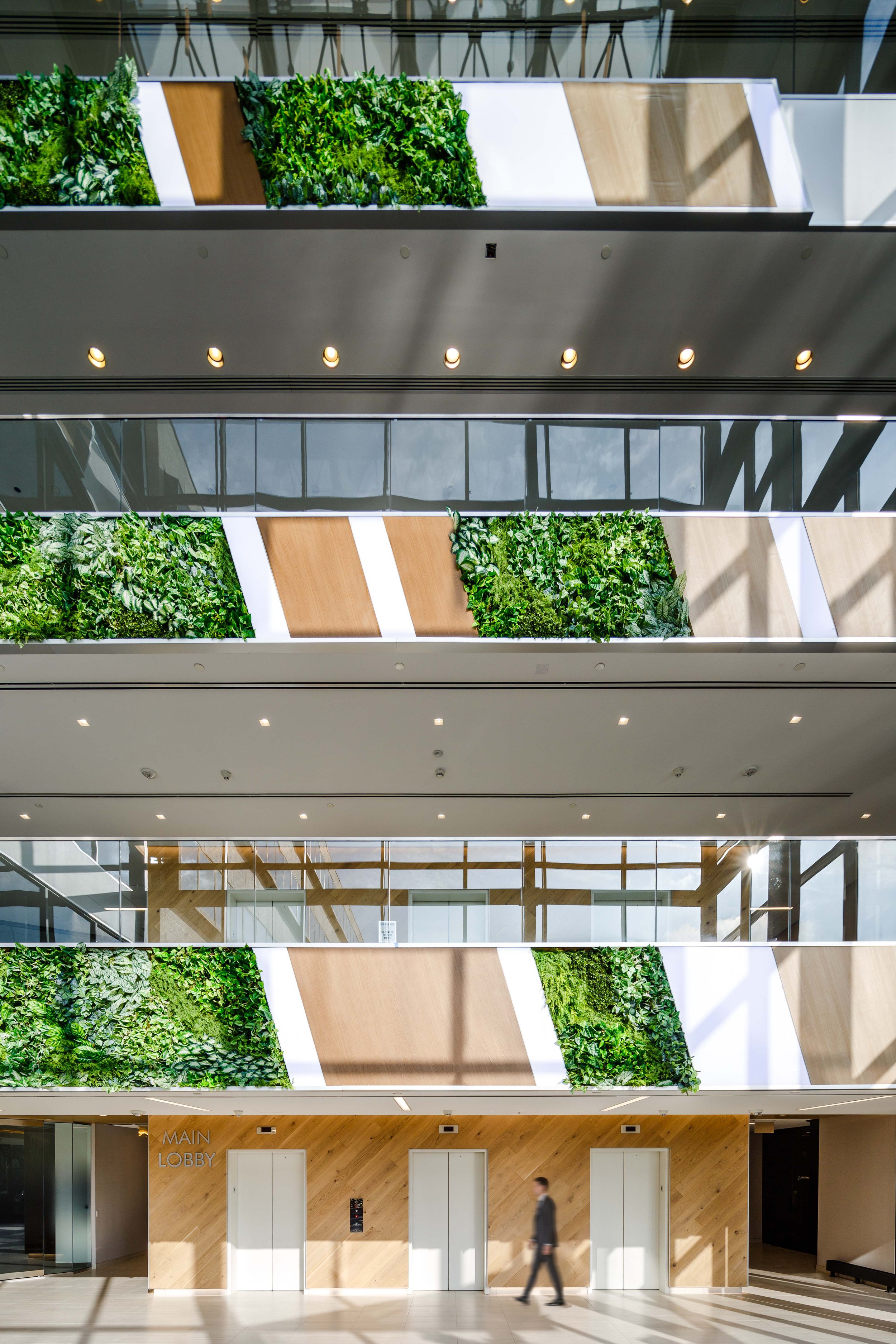 alex_staniloff_650 From Rd-61.jpg