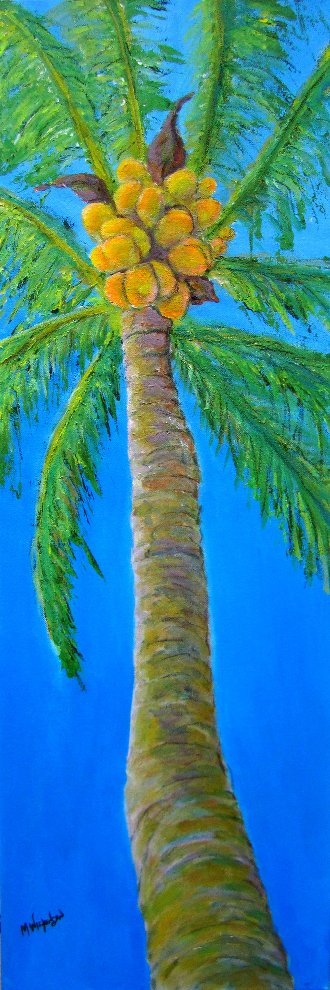 florida palm