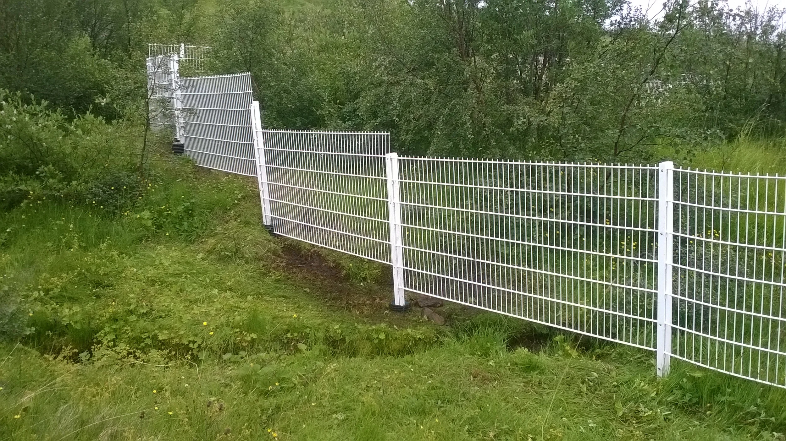 WP_20160719_007.jpg