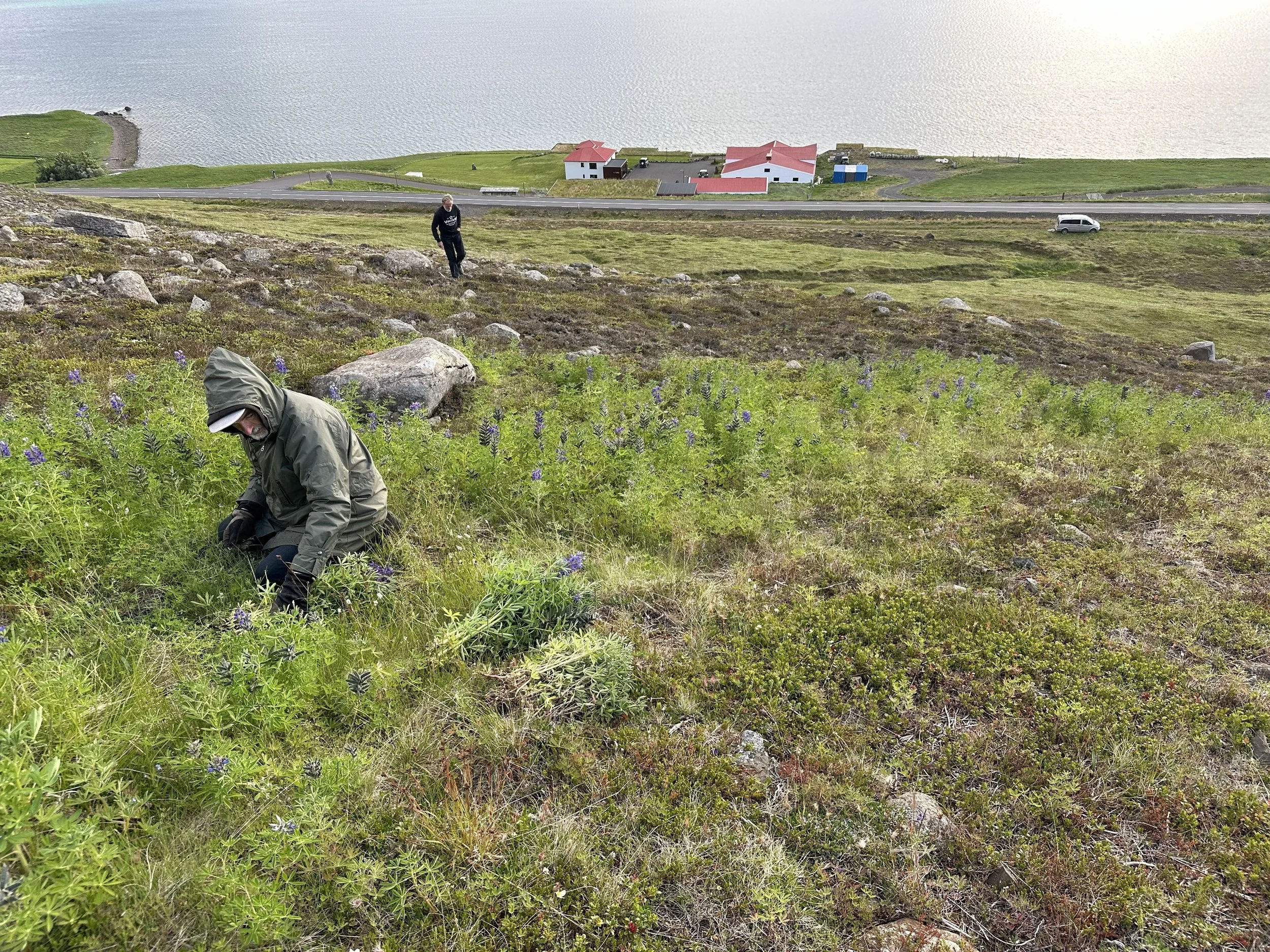 IMG_9931.jpg