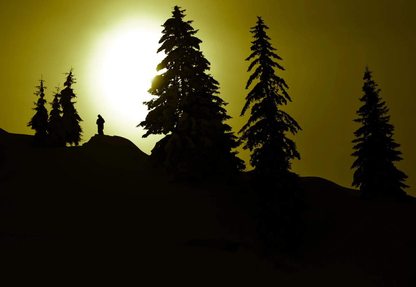 20120127_yellow_0033.jpg