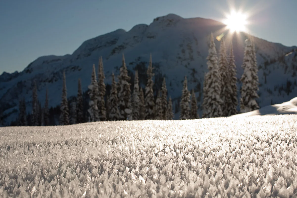 environmental_revelstoke_photoashleybarker_20100207_3074-Edit.jpg