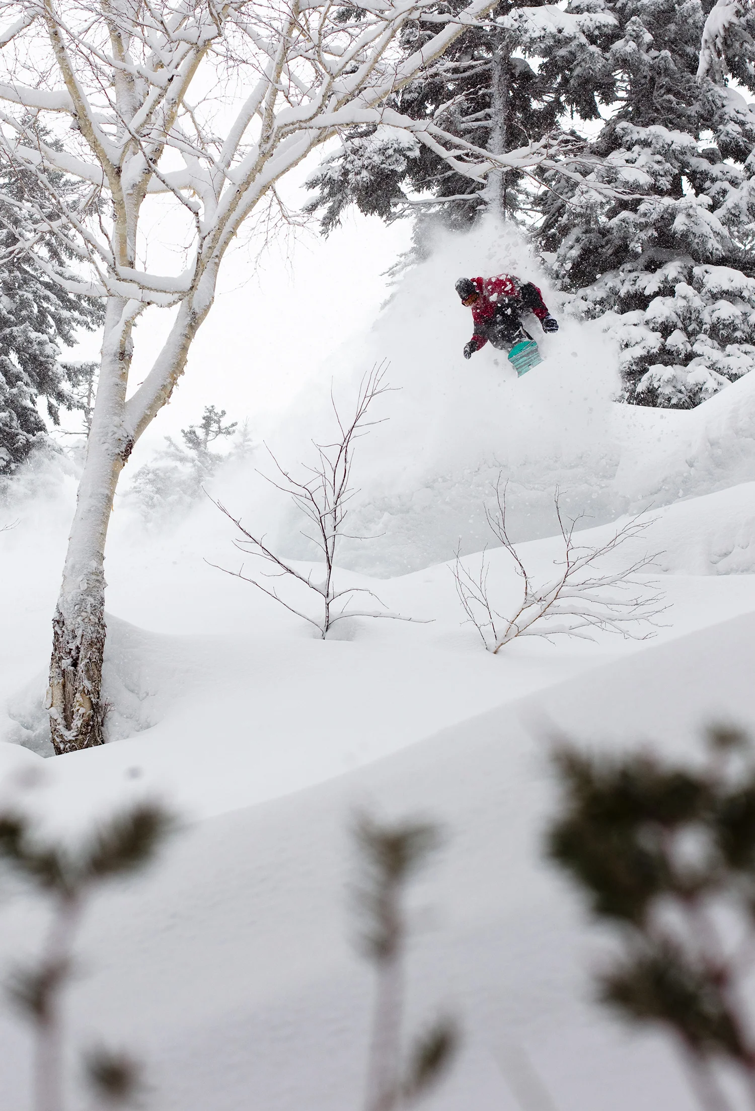 jakeblauvelt_japan_barker_20110224_9377.jpg