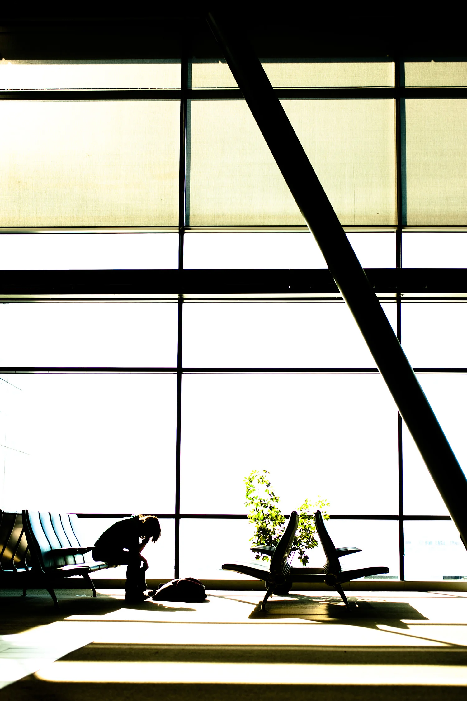 silhouette_airportdewind_jessicakimura_airport_ottawa_ashleybarker_20100123_1032.jpg