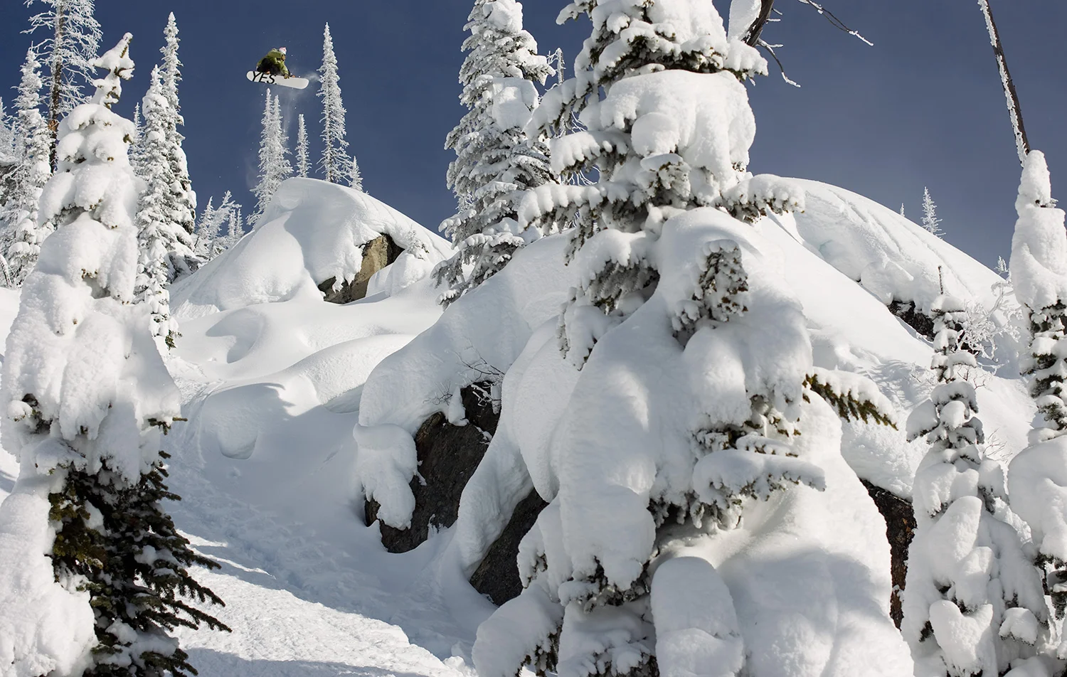 jpsolberg_kootneys_ashleybarker_20110110_5561.jpg
