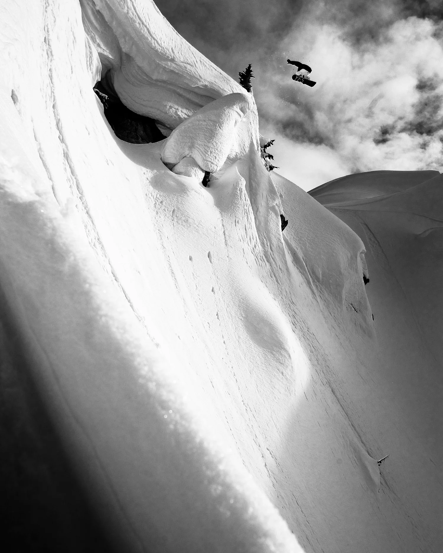 jpsolberg_barker_20110323_7280.jpg