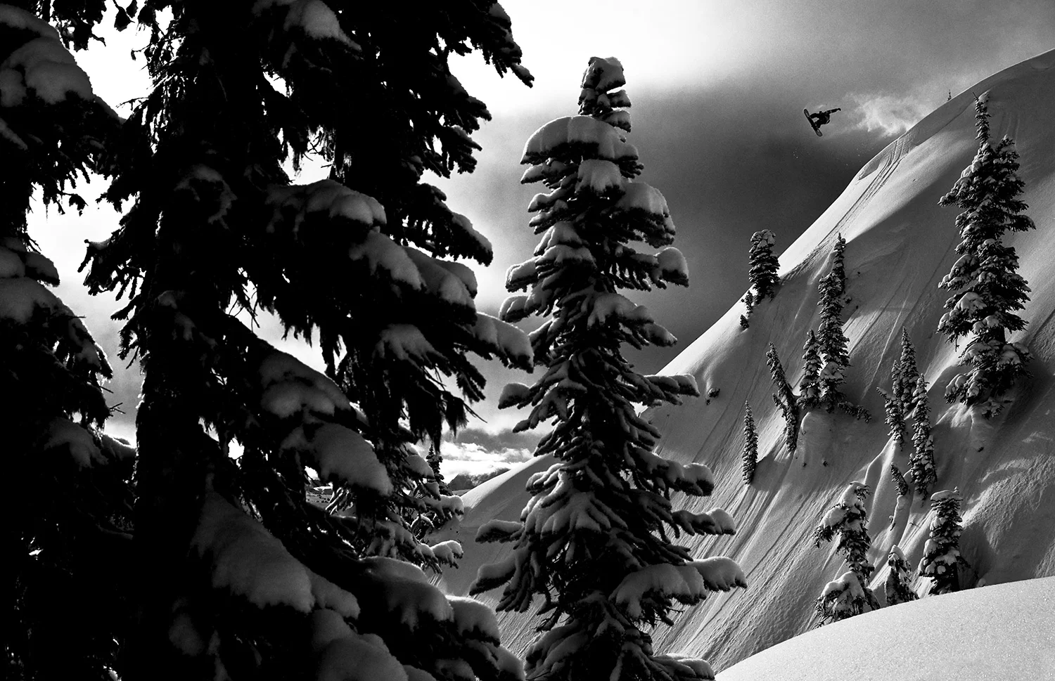 mikeyrencz_20090210_1911-Edit-grayscale.jpg