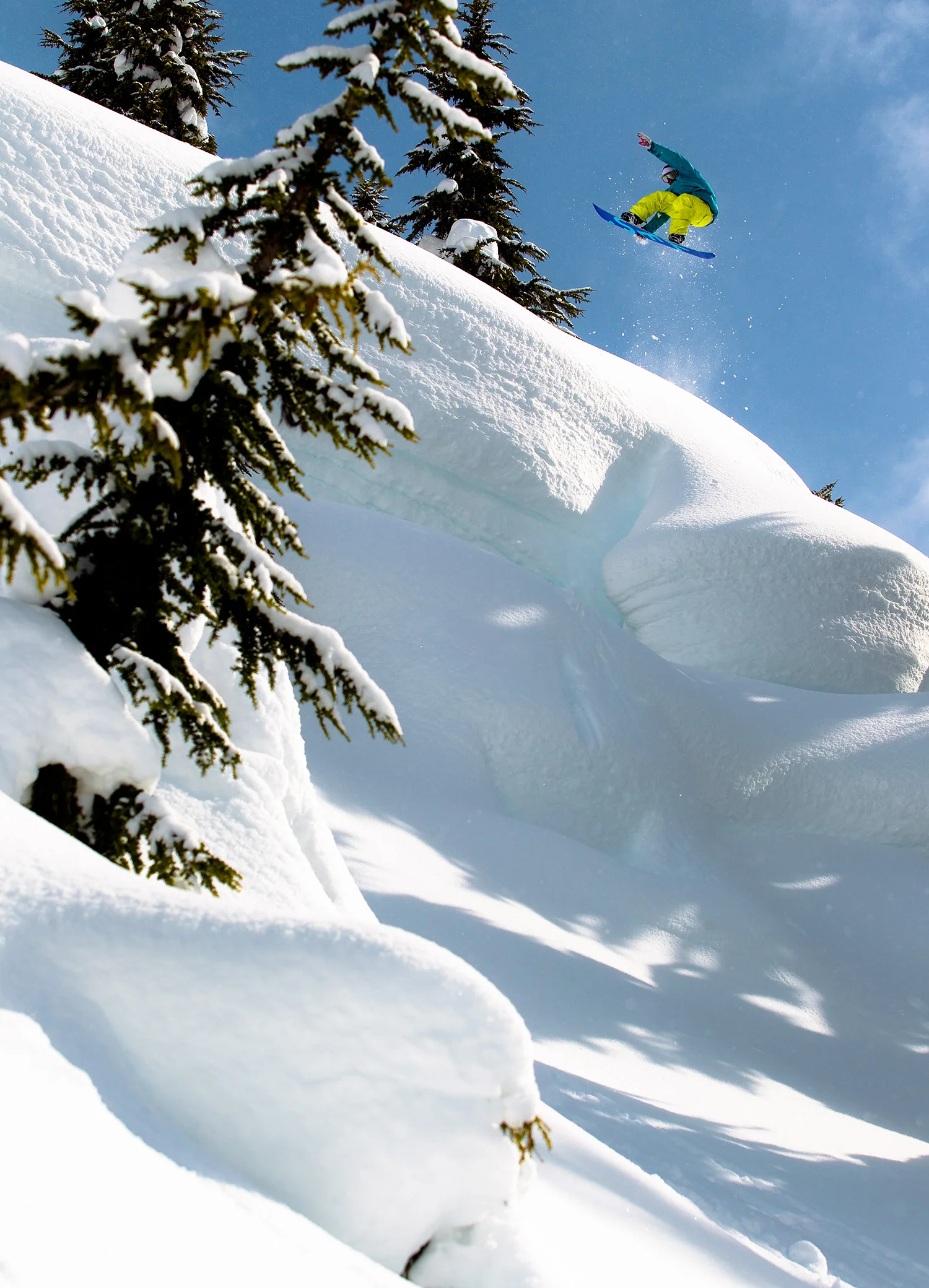 romaindemarchi_barker_20110322_6275.jpg