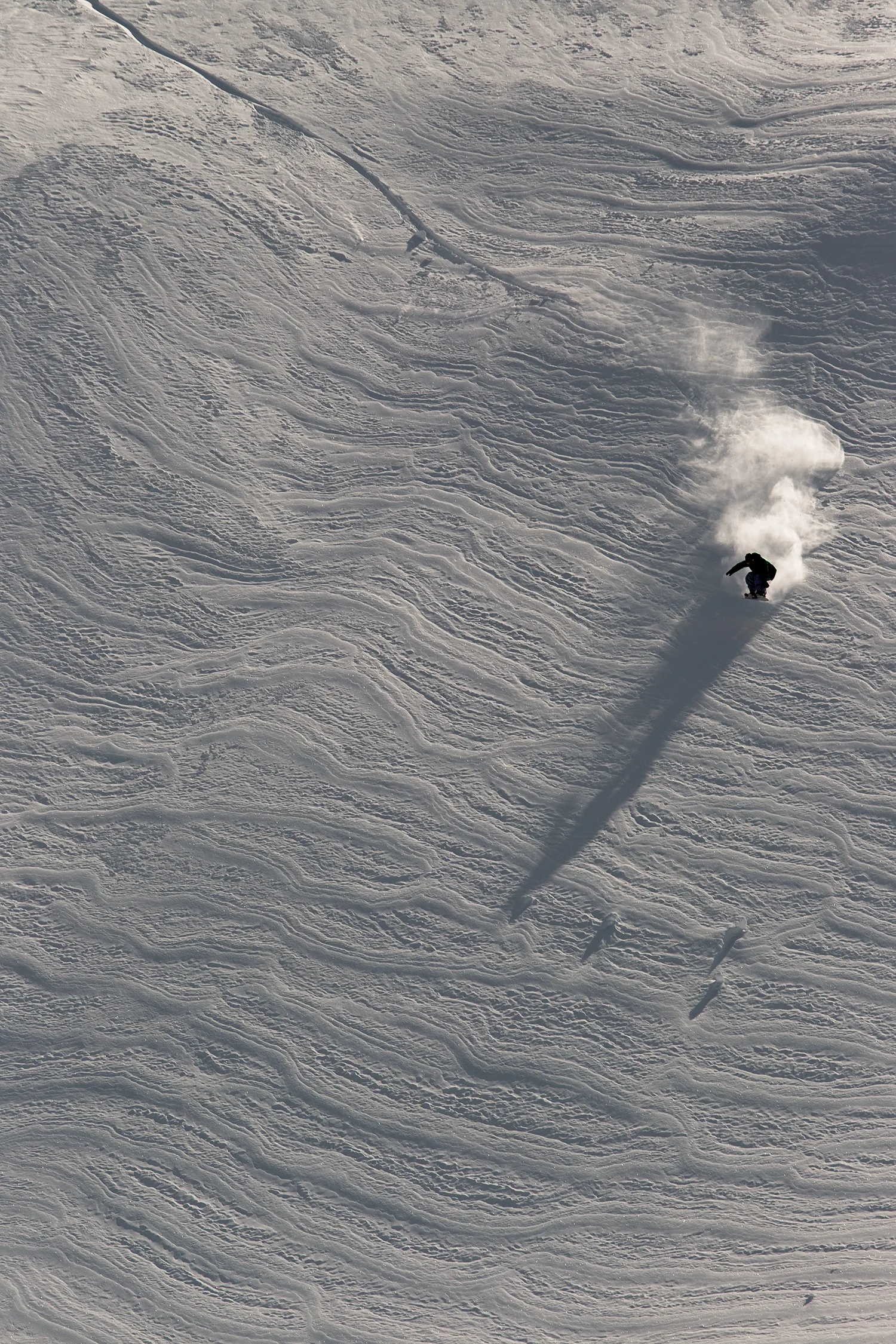 romaindemarchi_ollie_whistler_photoashleybarker_20100318_0700-Edit.jpg