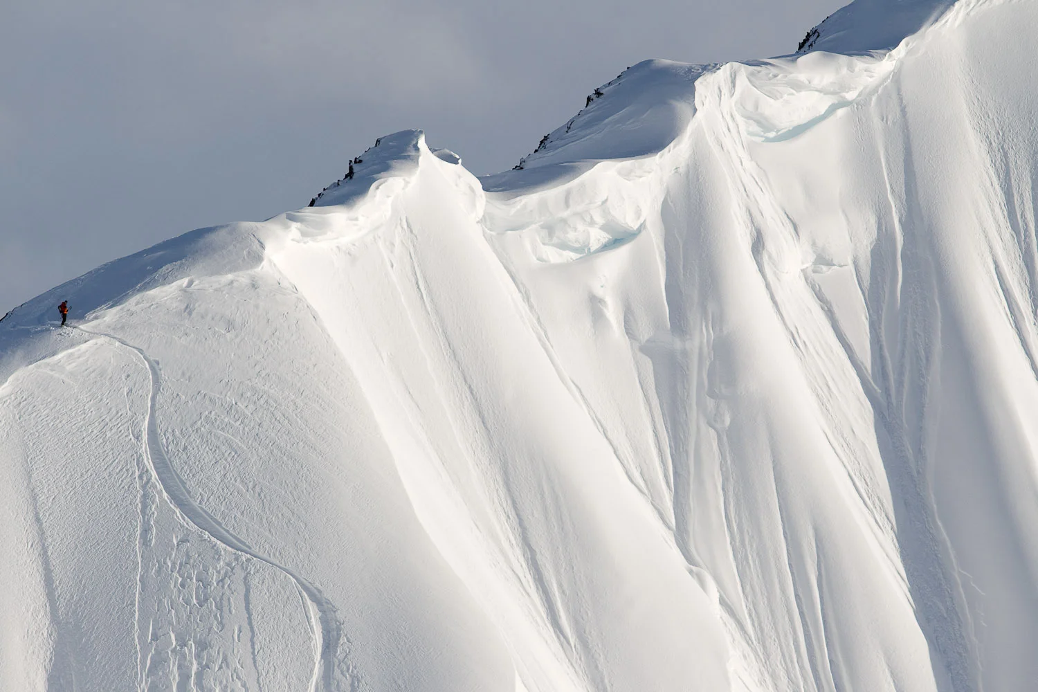 20100420_barkerfoto_4973.jpg