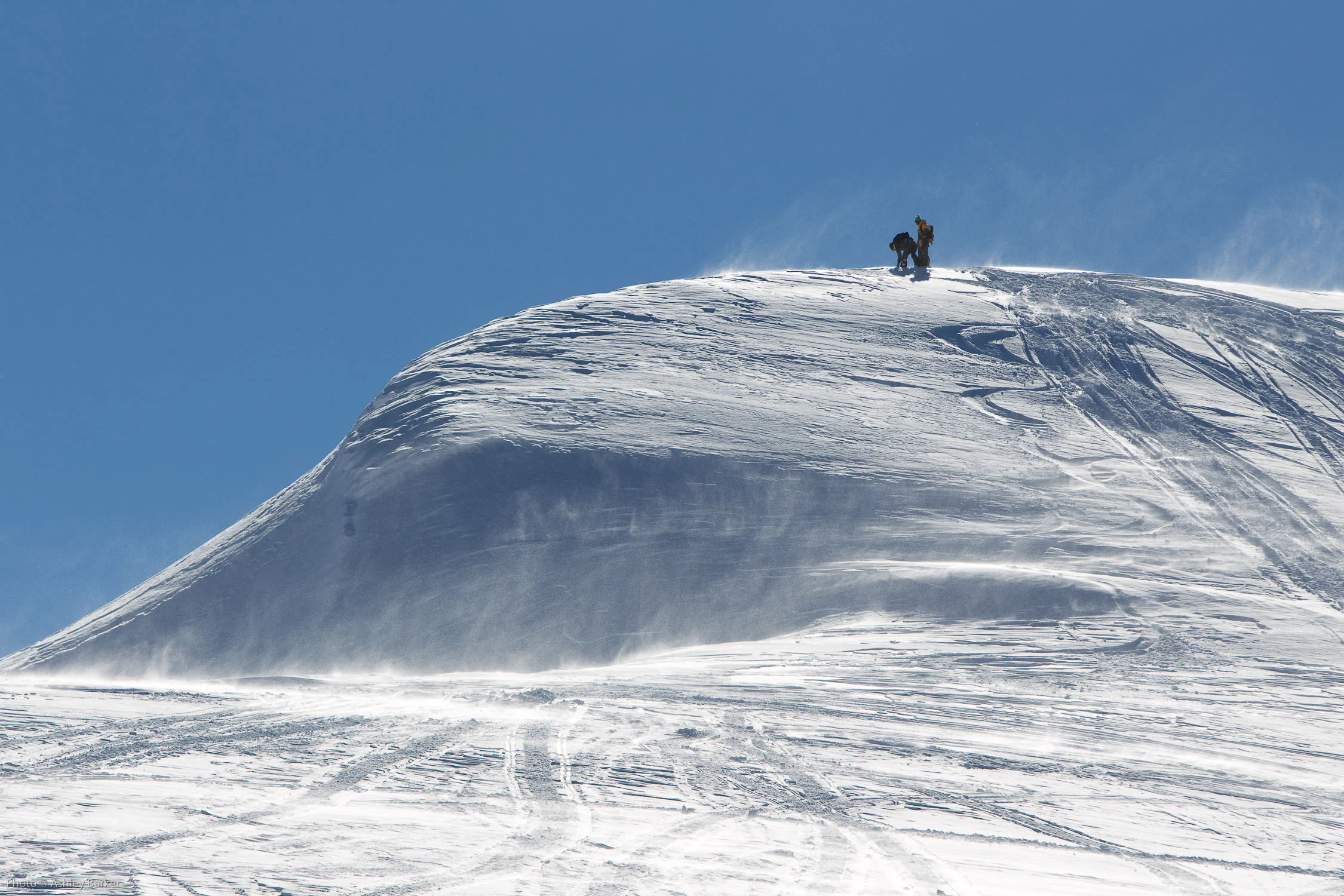 20140228_barkerfoto_4605.jpg