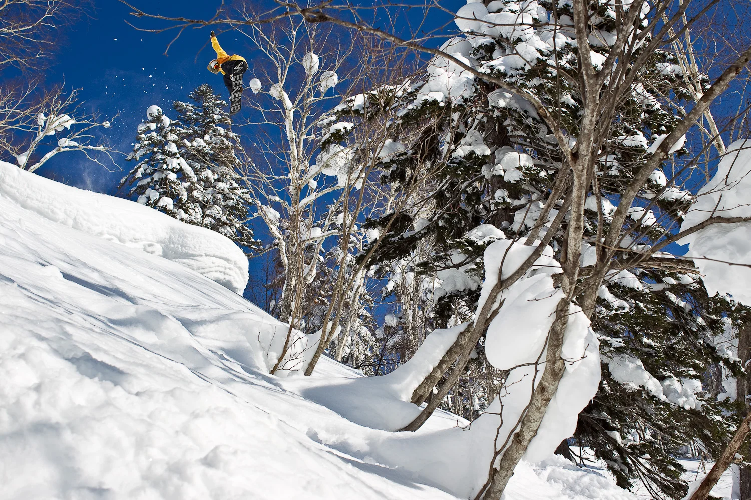 heikkisorsa_japan_barker_20110220_7232.jpg