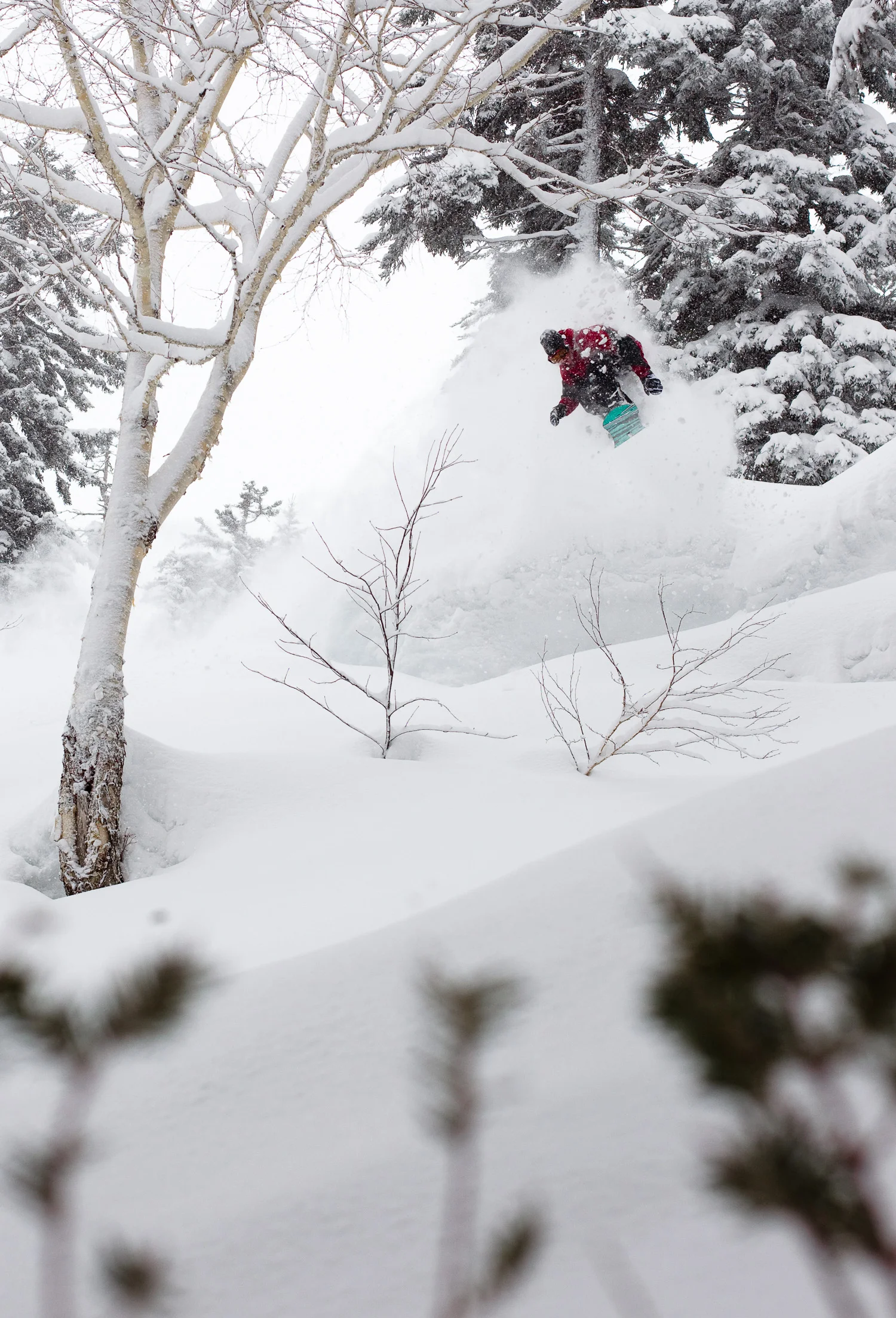 jakeblauvelt_japan_barker_20110224_9377.jpg
