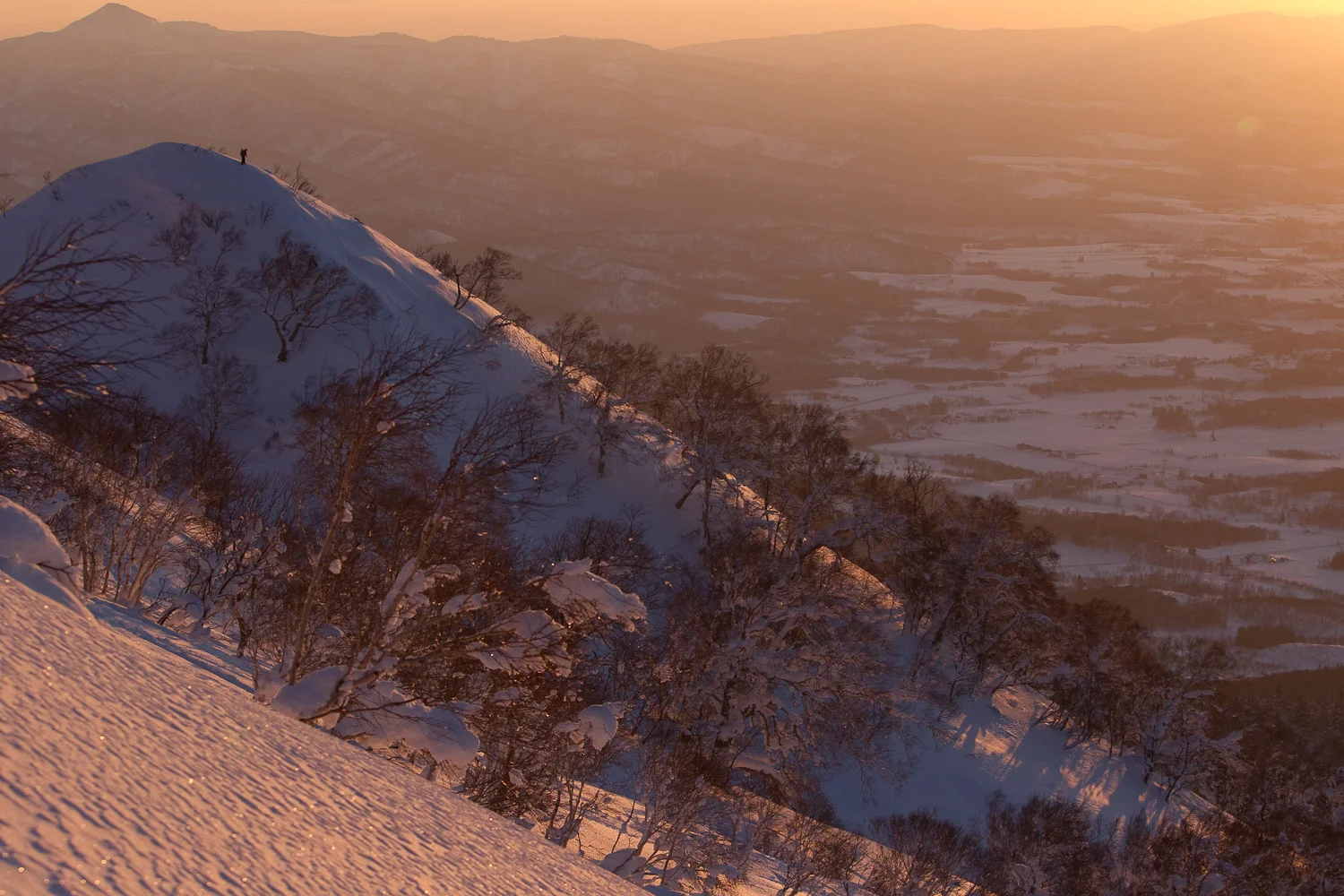 20130123_barker_japan_7675.jpg