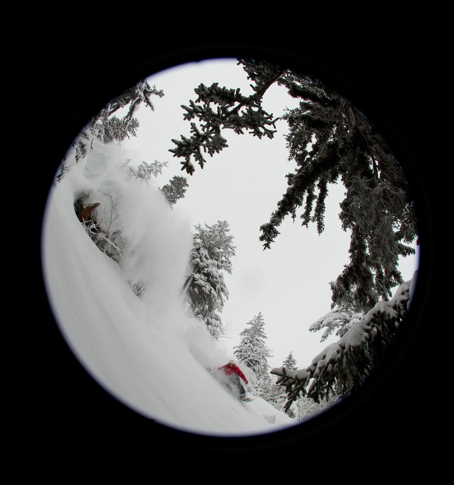 _20110224_9352.jpg