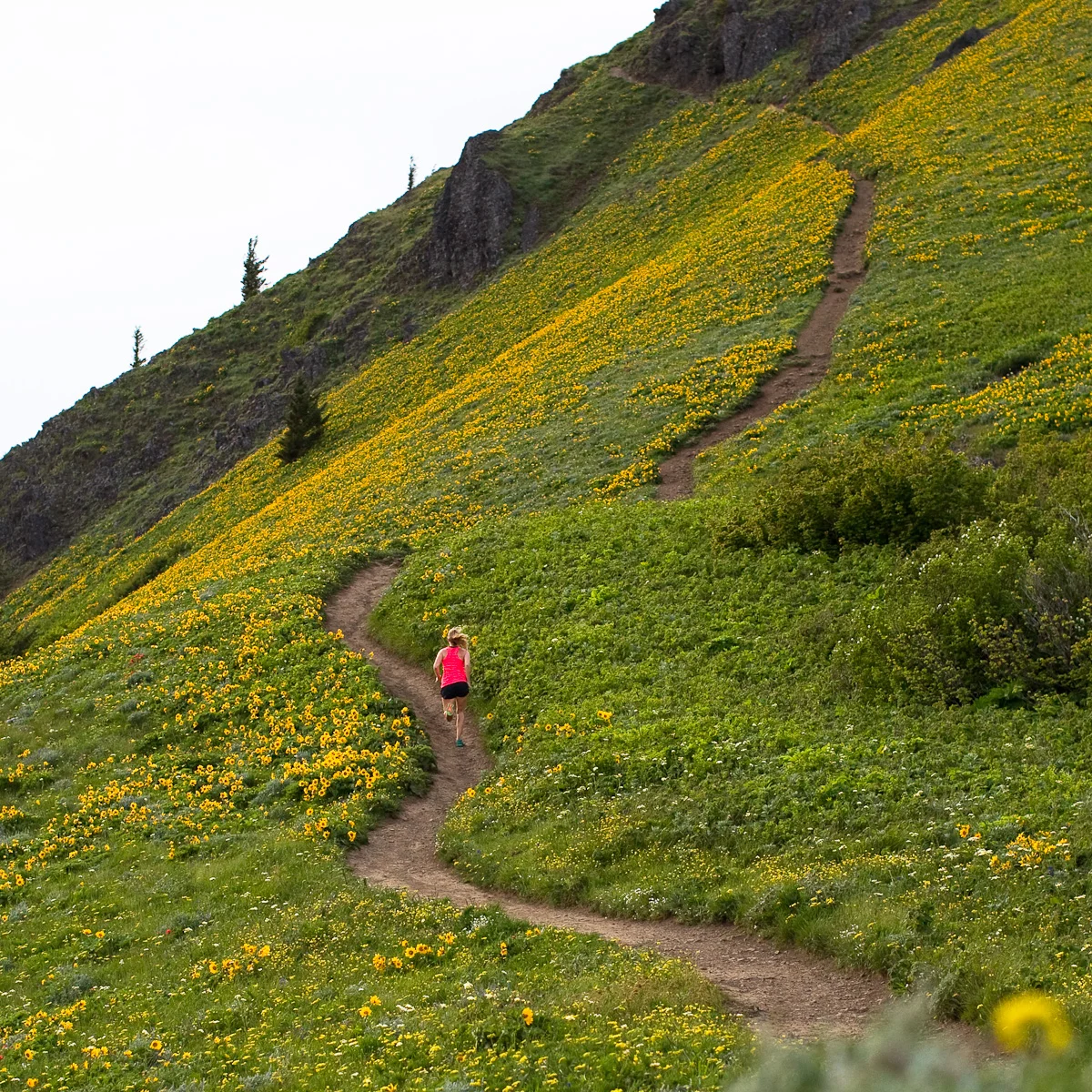20140522_barkerfoto_2779.jpg