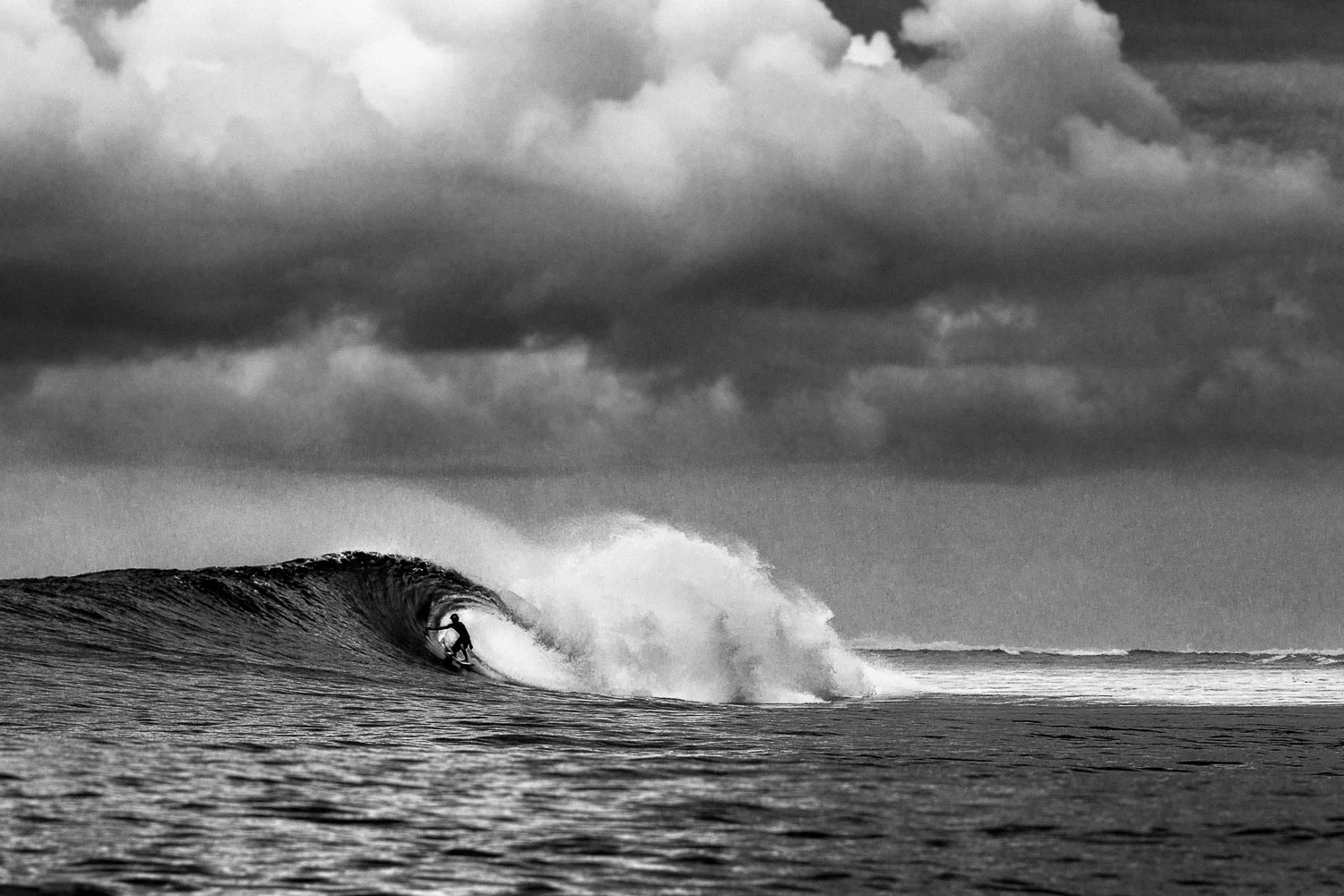 20130926_barkerfoto_2154.jpg