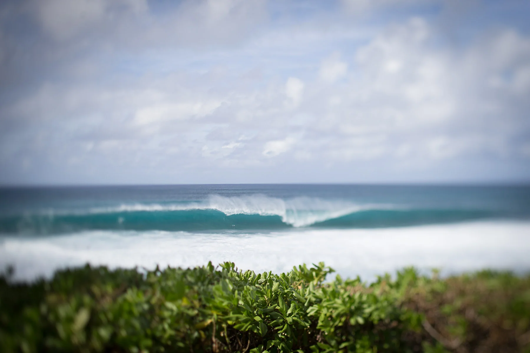 20141202_barkerfoto_6716.jpg