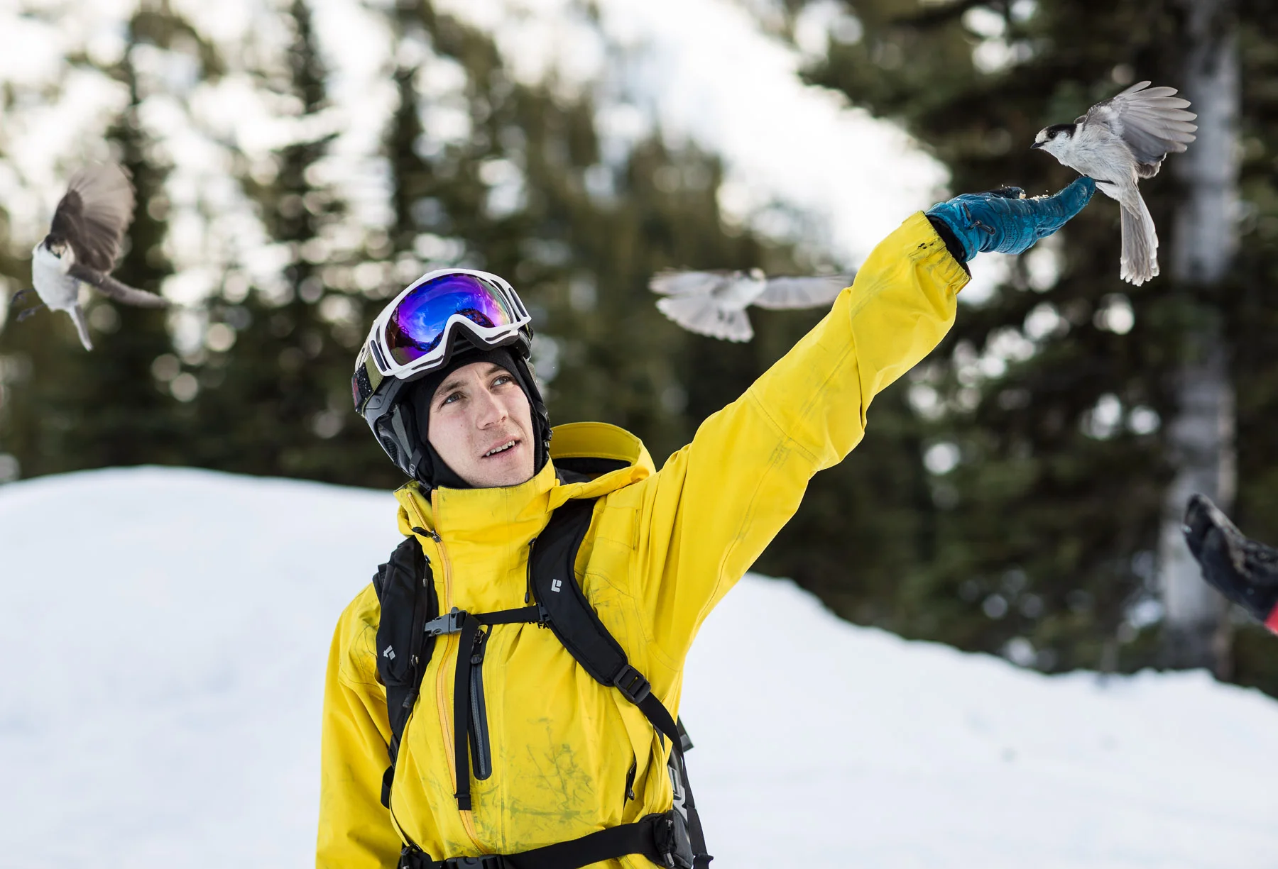 20150108_barkerfoto_9890.jpg