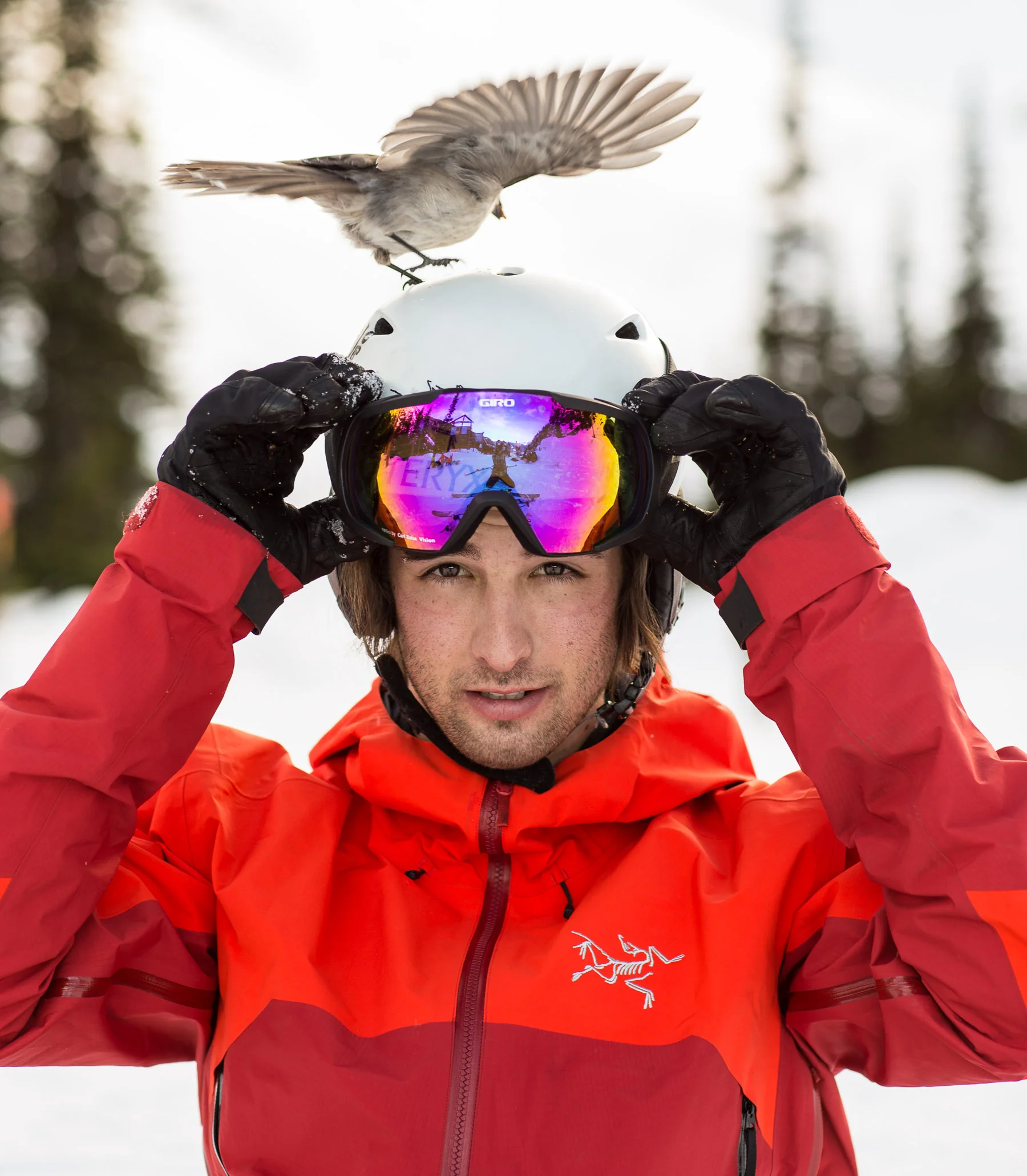 20150108_barkerfoto_9943.jpg