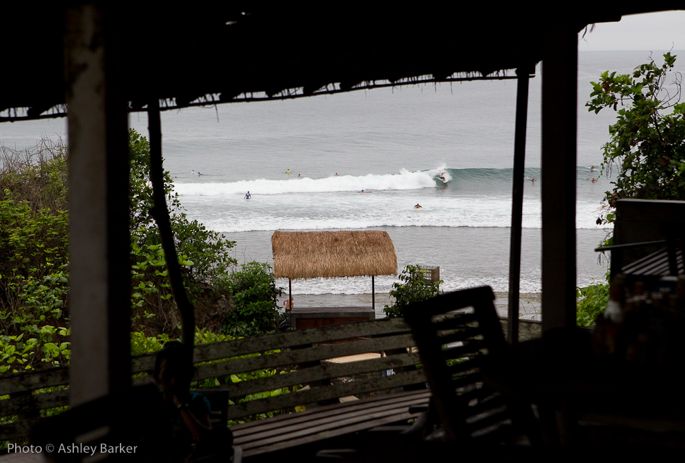 24_bali1_barker_20111109_82