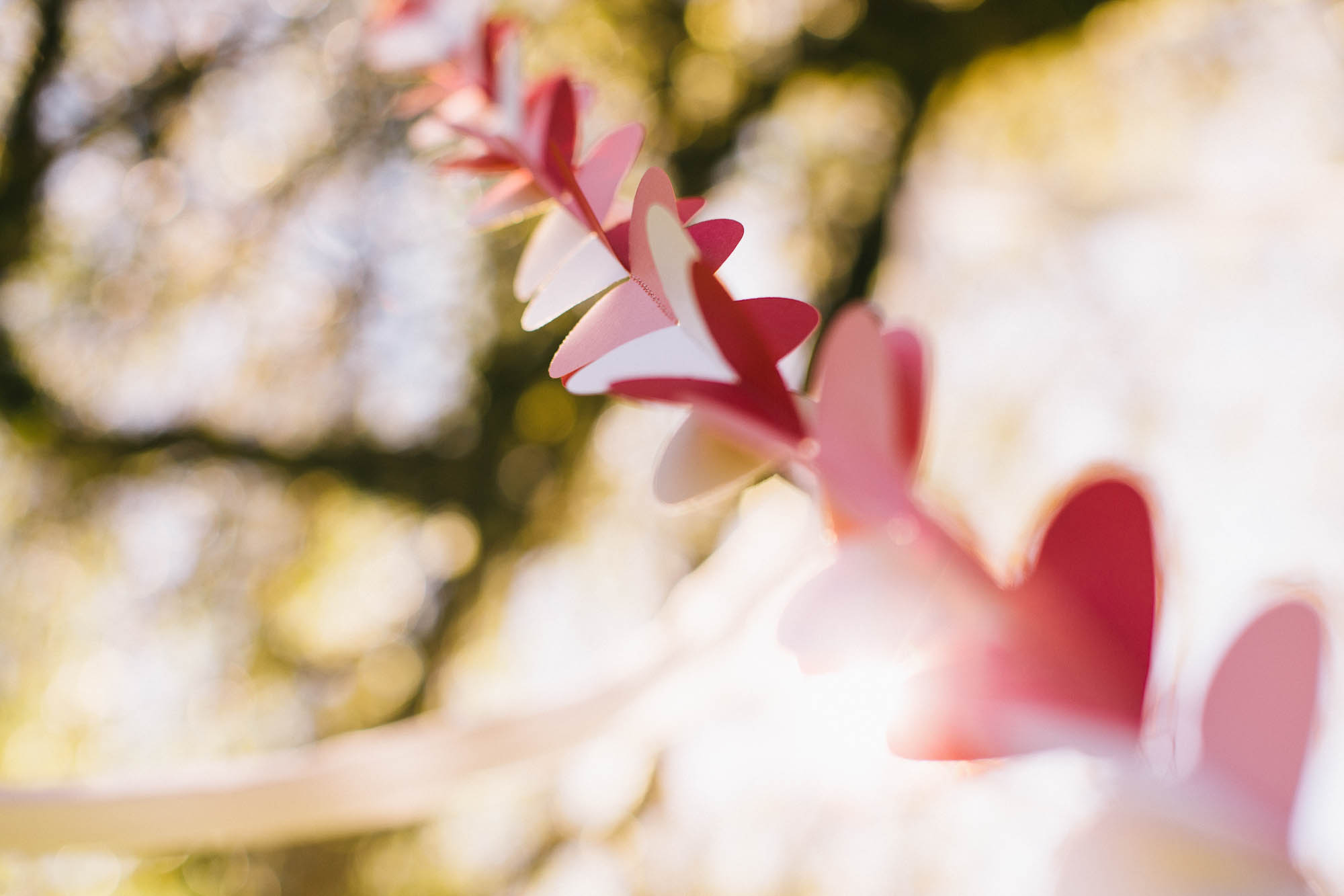 20140920_wedding_best_vancouver_rustic_photographer_photography_squamish__2.jpg