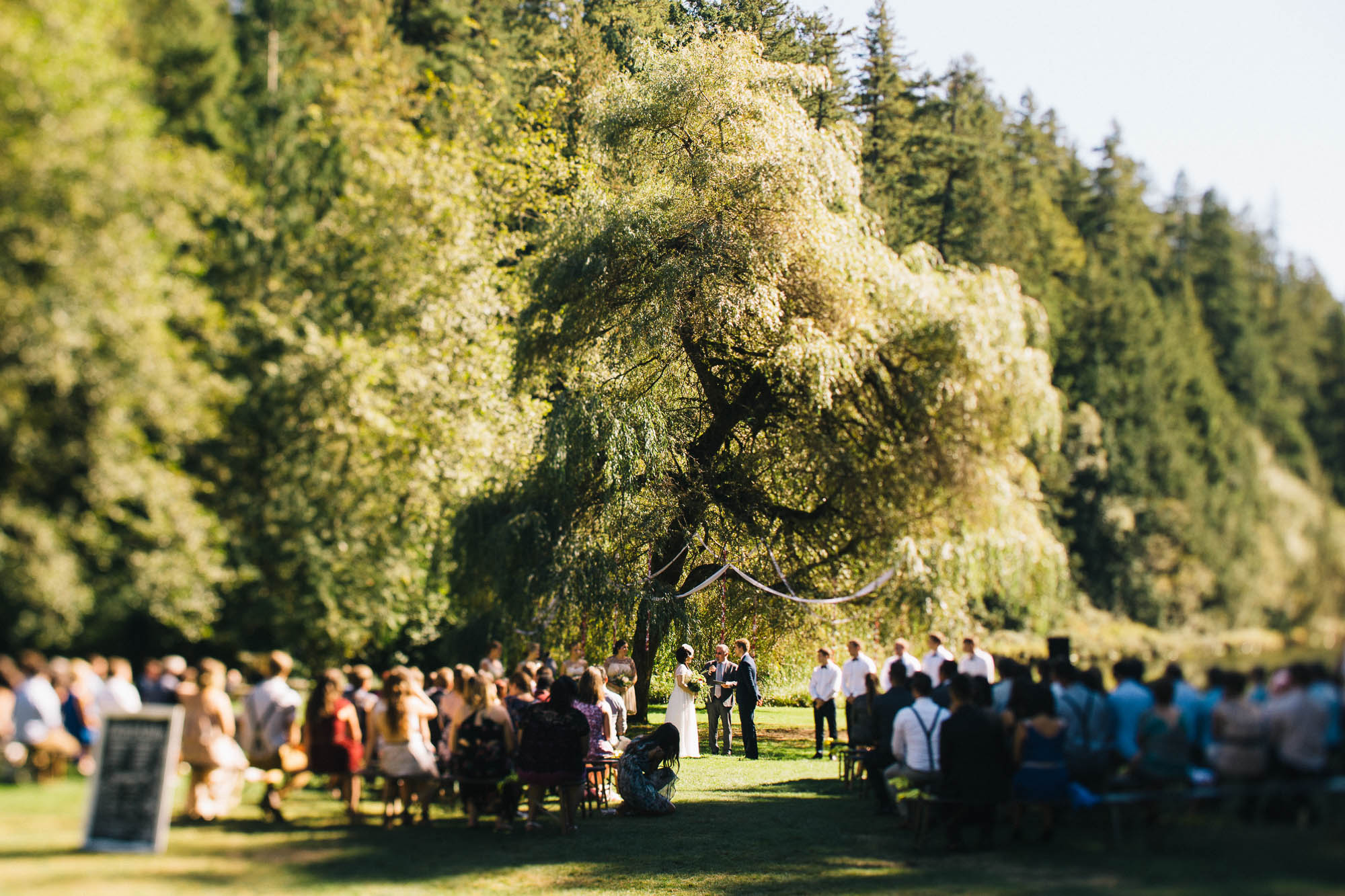 20140920_wedding_best_vancouver_rustic_photographer_photography_squamish__95.jpg
