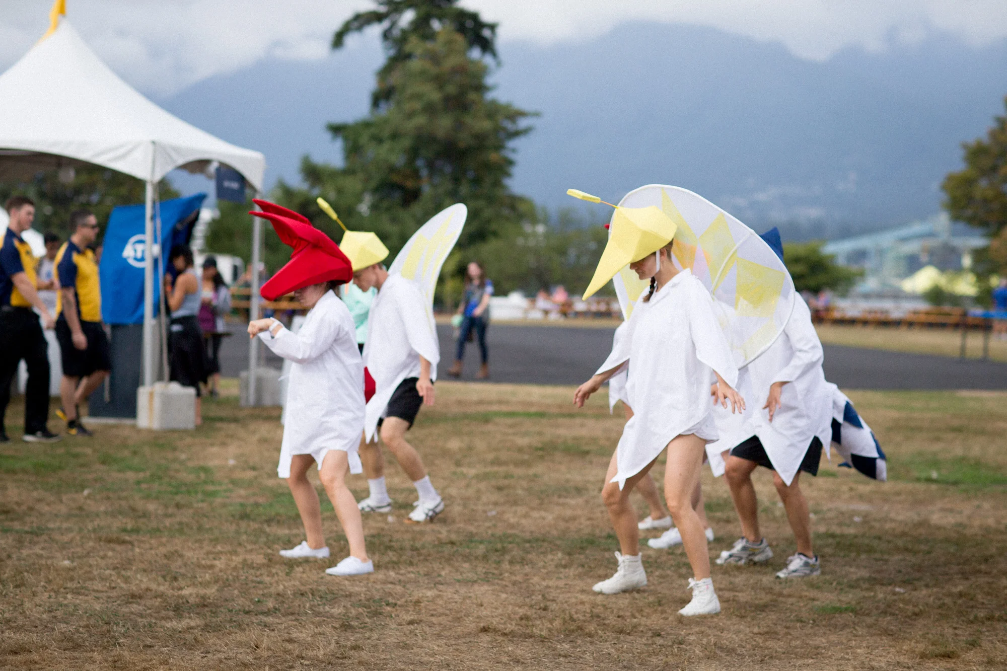 20150815_barkerfoto_5034.jpg