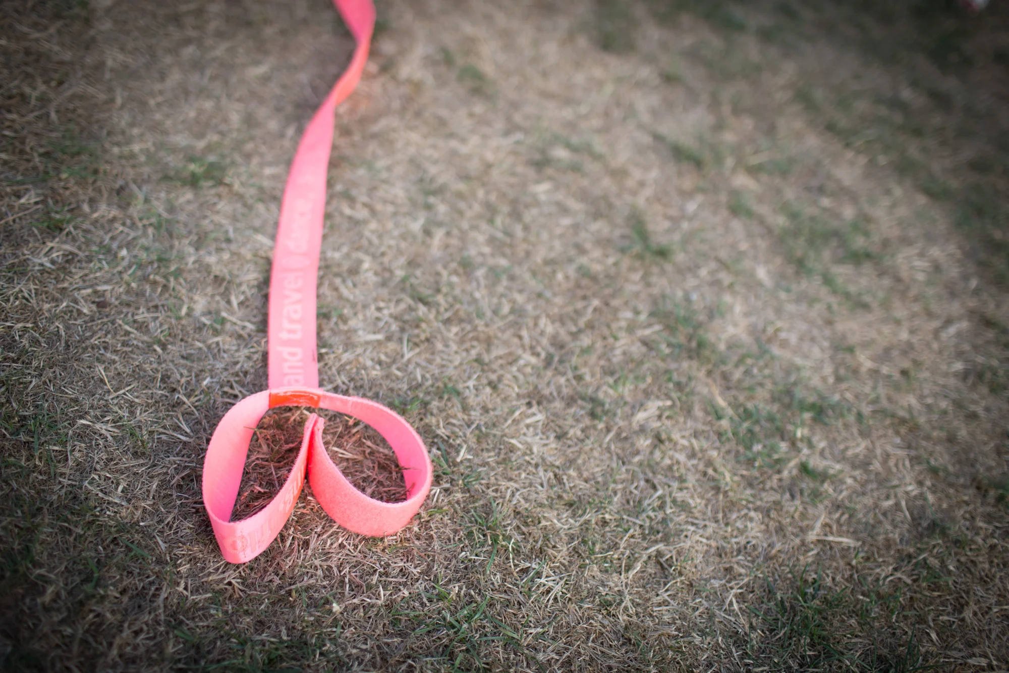 20150815_barkerfoto_5273.jpg