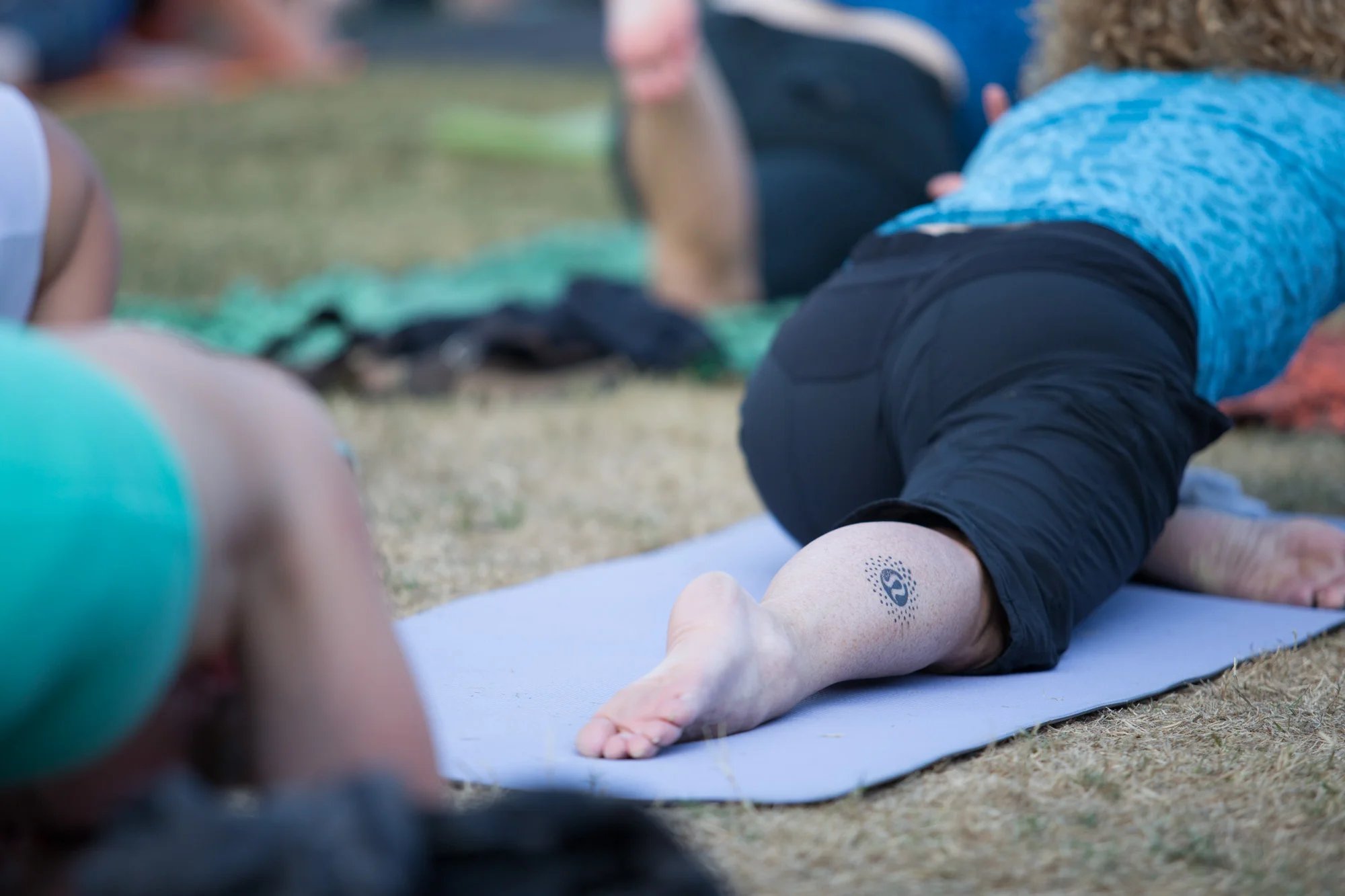 20150815_barkerfoto_5901.jpg