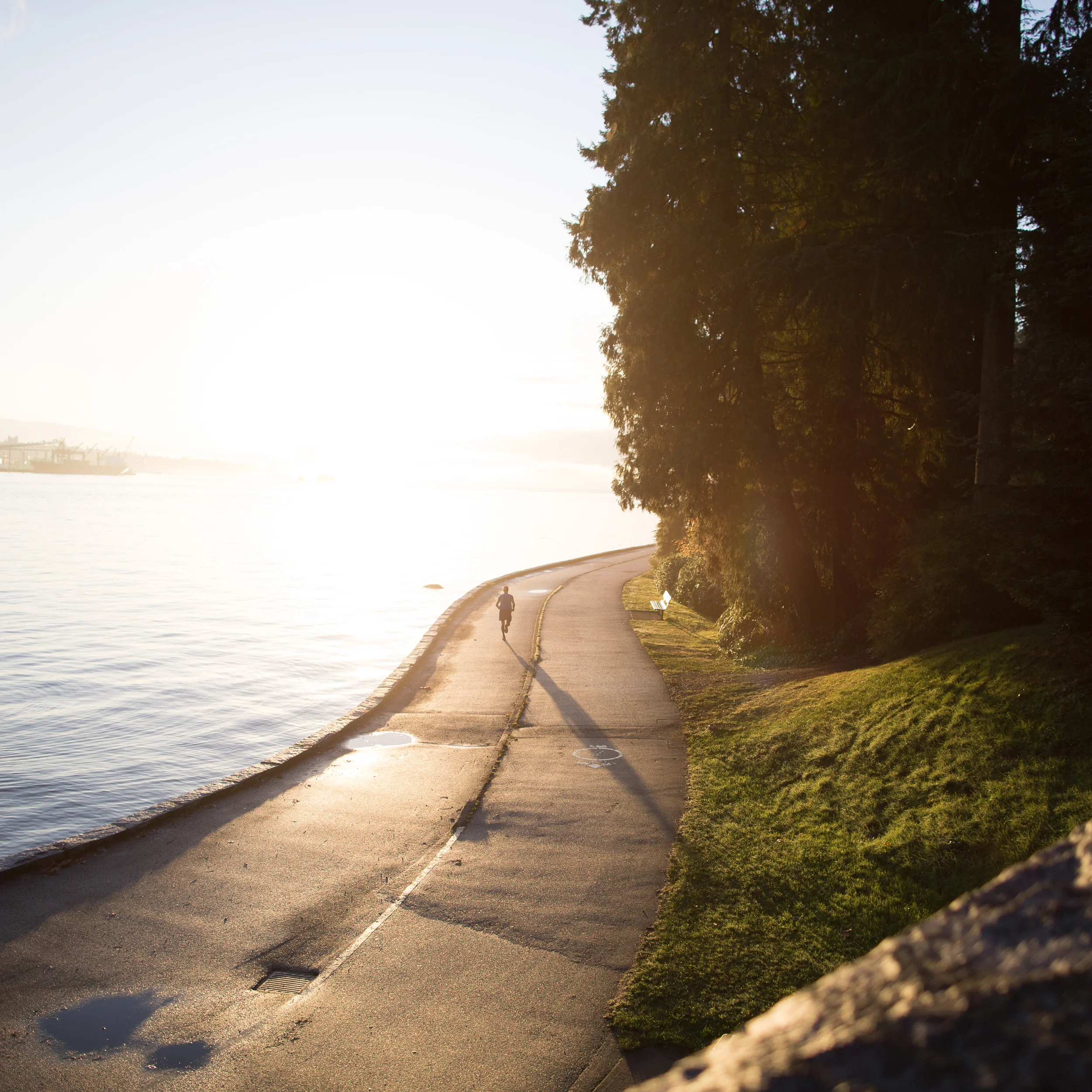 20140927_barkerfoto_5876-2.jpg
