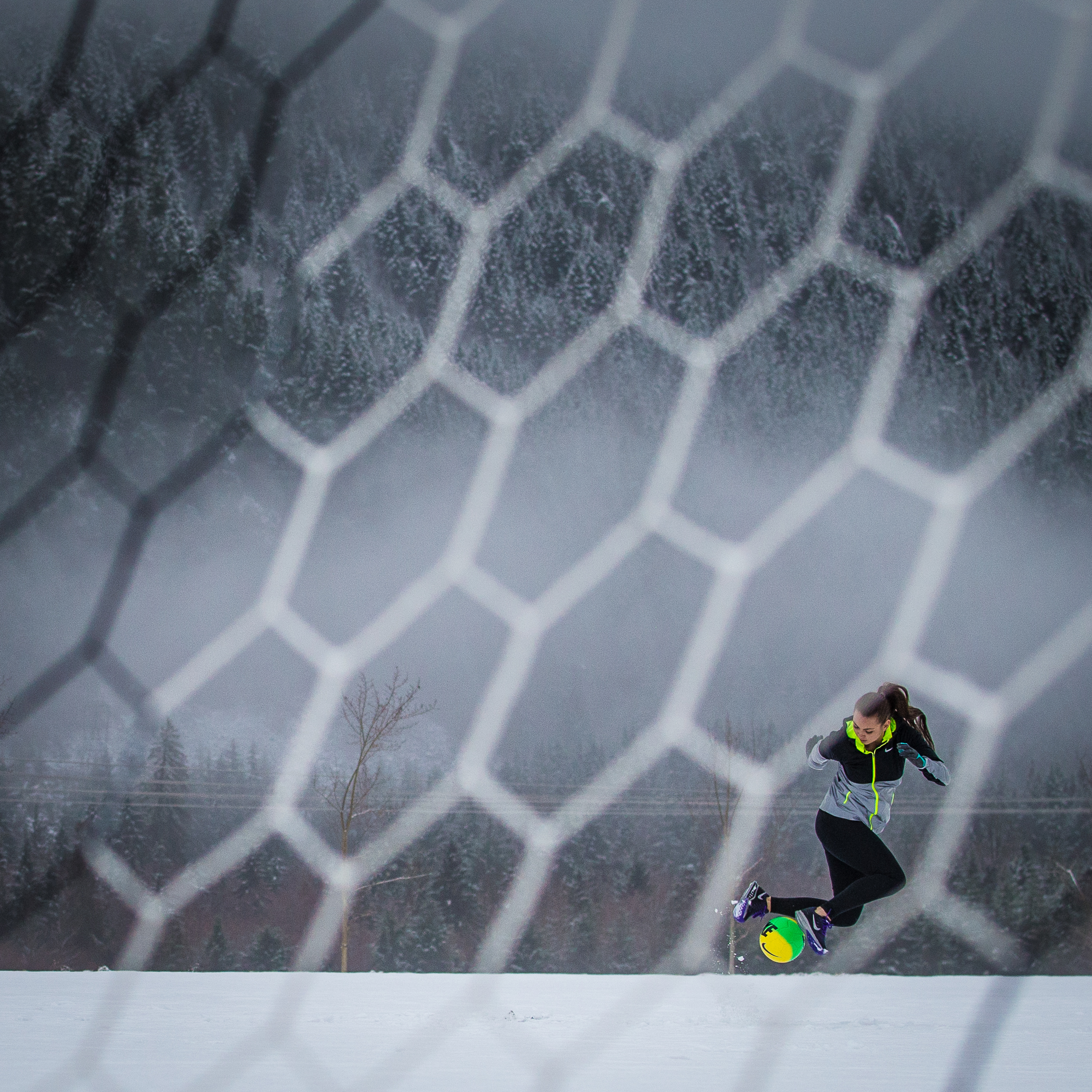20141223_barkerfoto_1219.jpg
