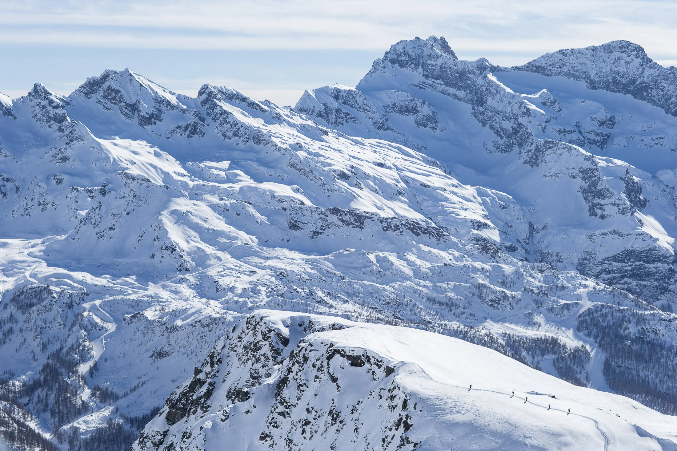 20150225_barkerfoto_1313.jpg
