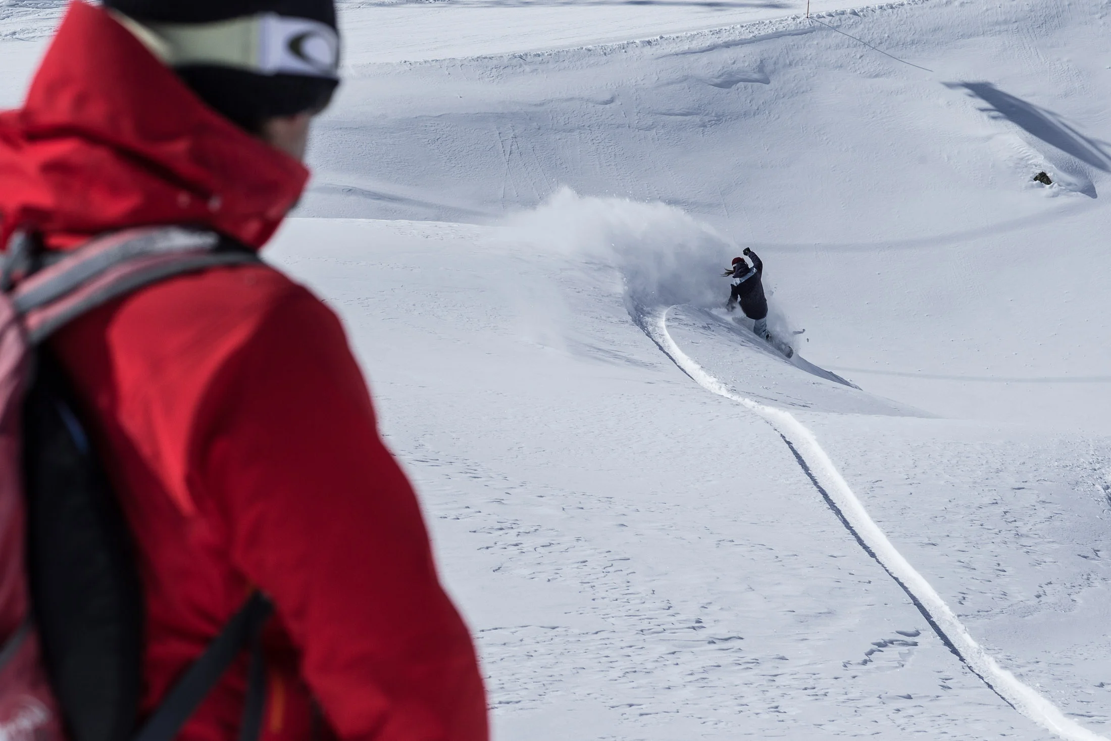 20150225_barkerfoto_1752.jpg