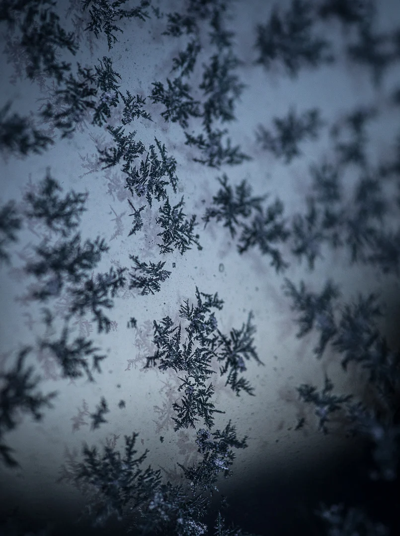winter shoot photography whistler bc