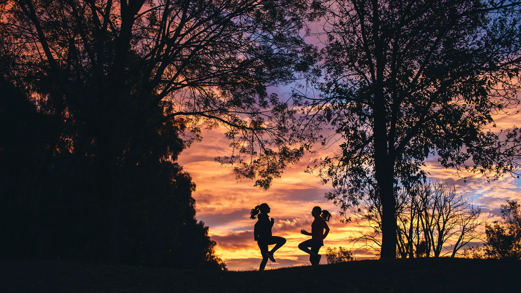 20120116_barkerfoto_0292.jpg