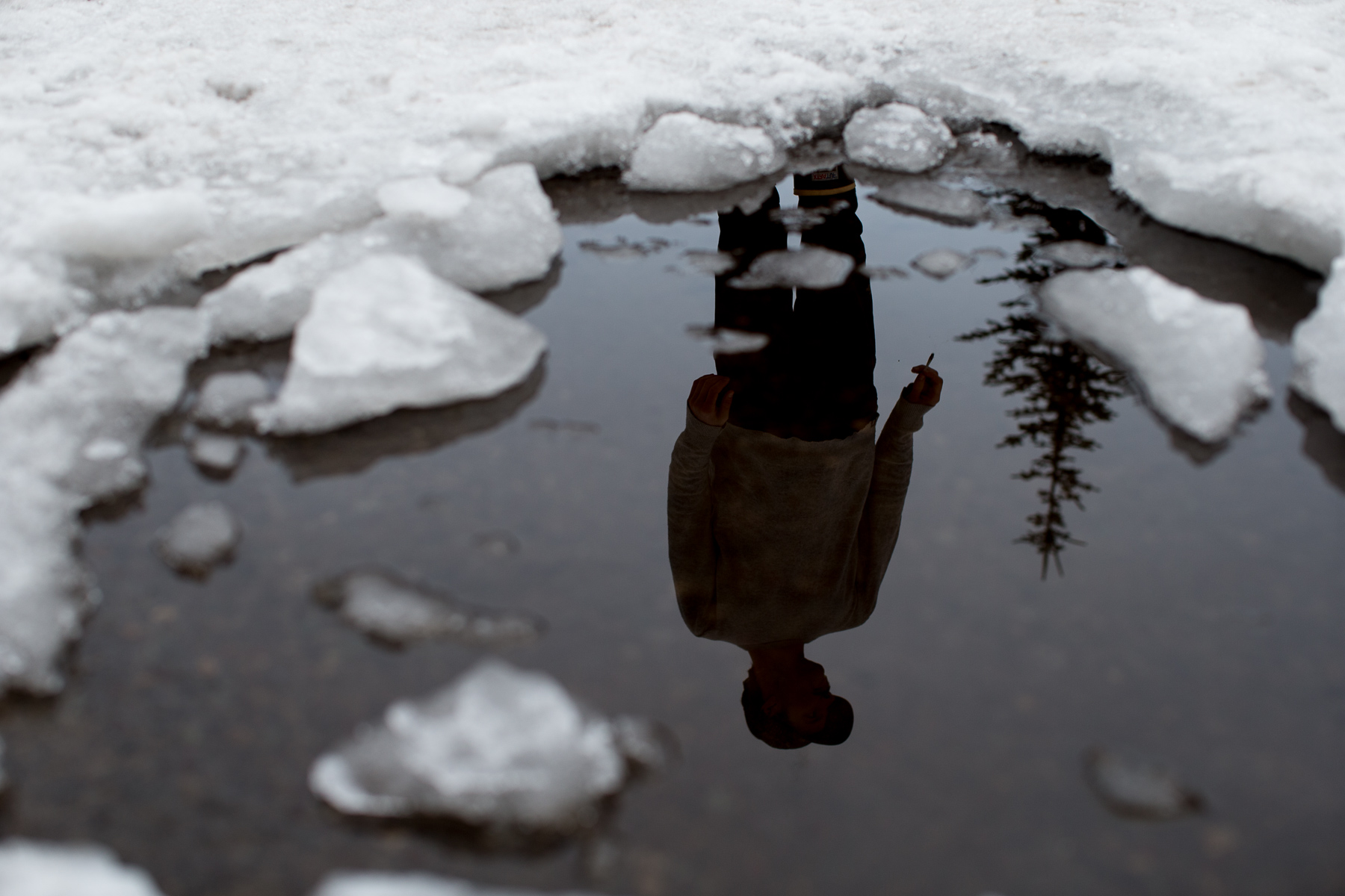 20120320_barkerfoto_0595.jpg