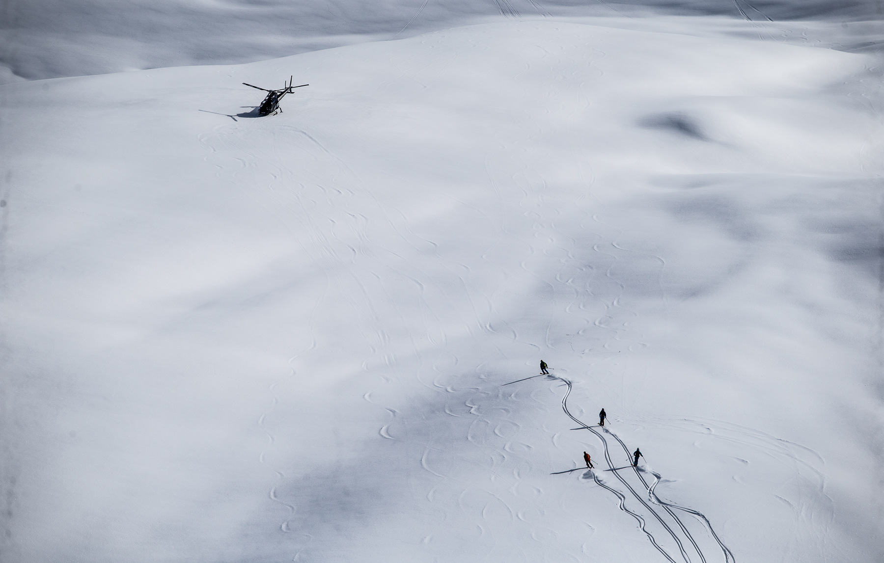 20120320_barkerfoto_8930.jpg