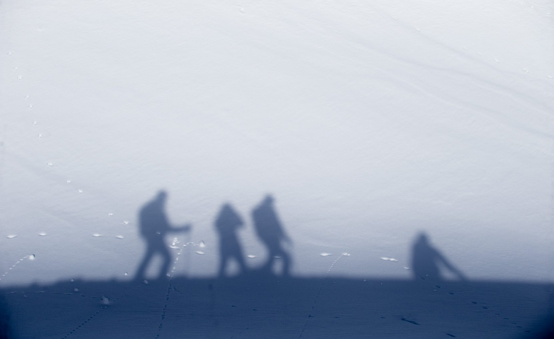 20120320_barkerfoto_9310.jpg