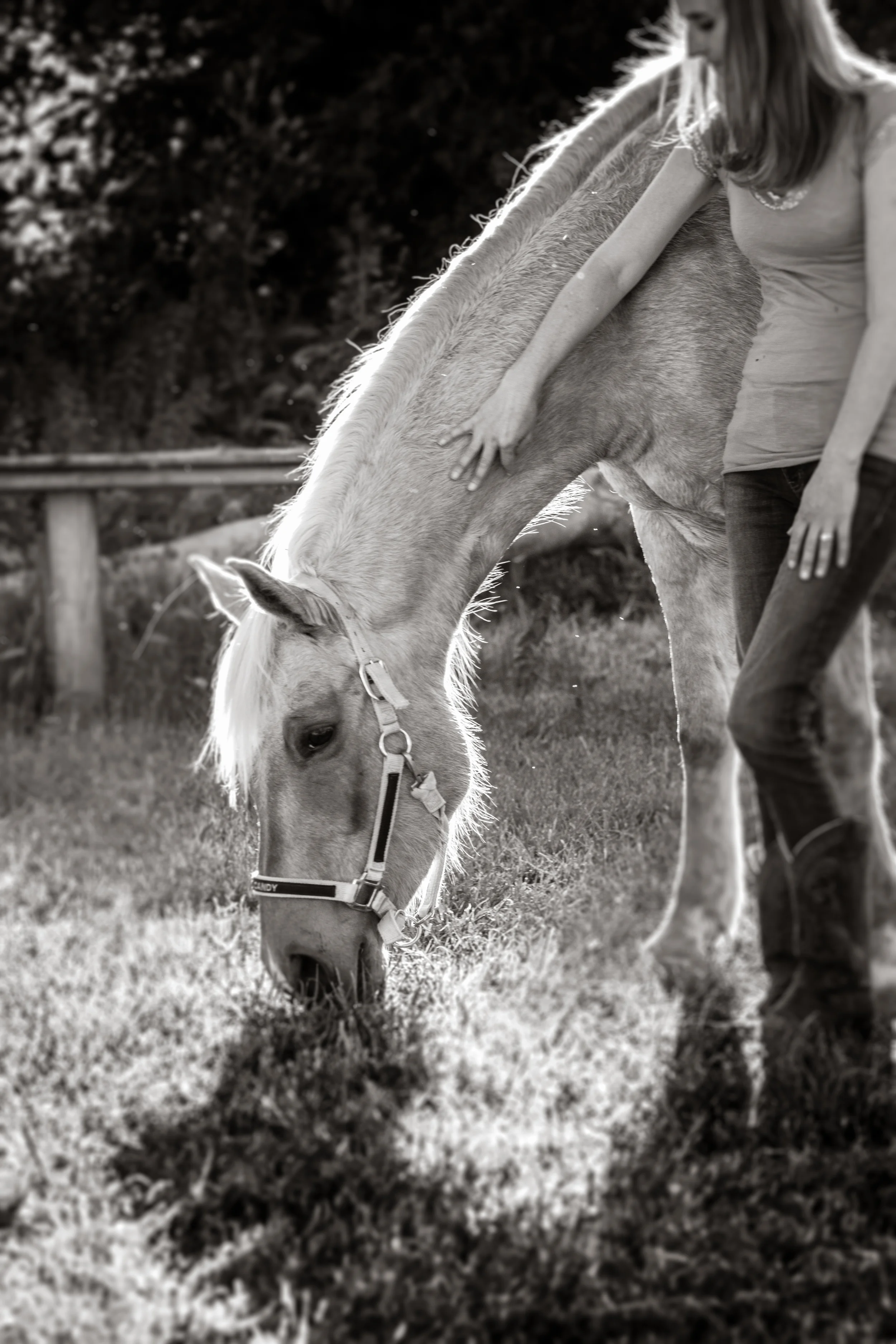 _MG_4641-Edit.jpg