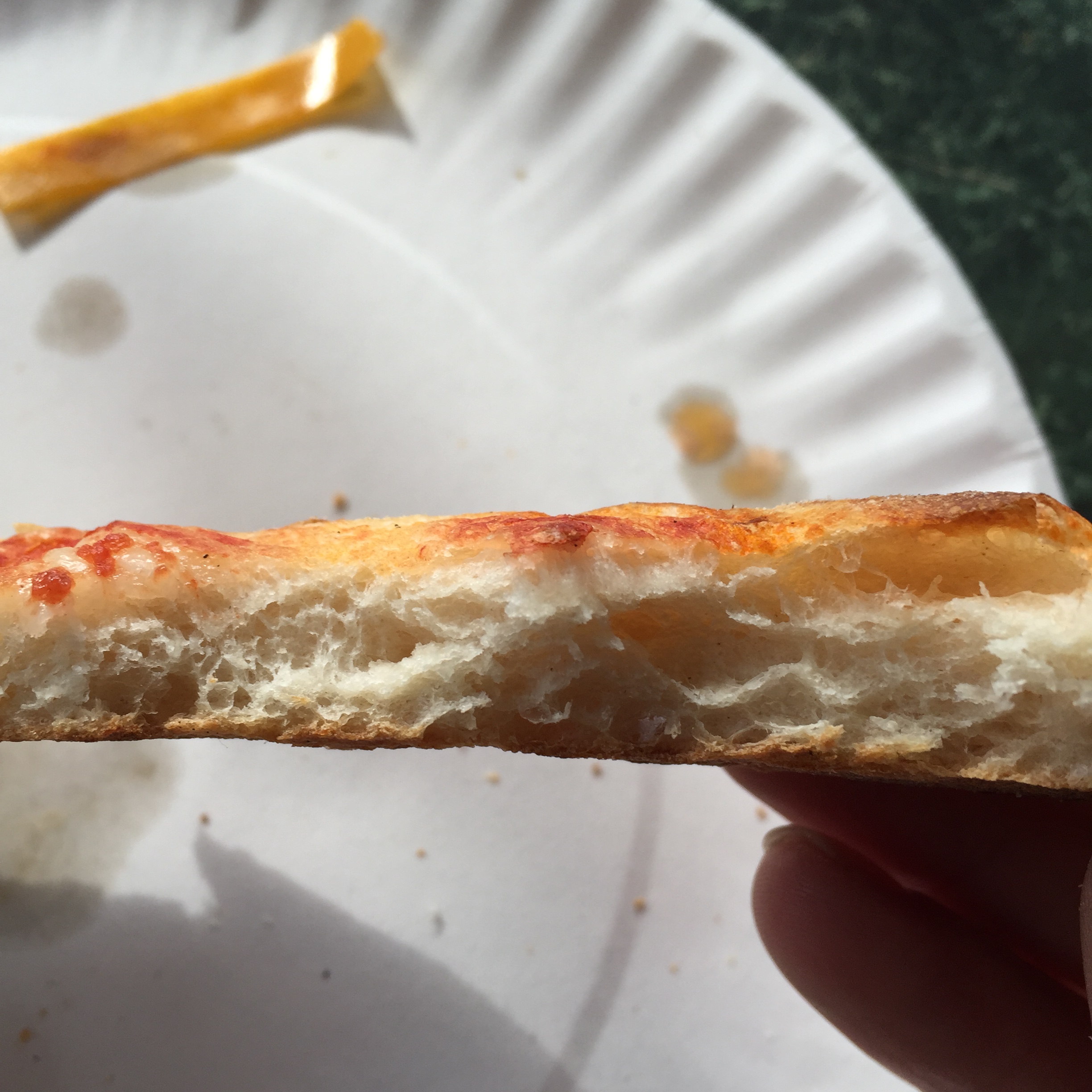 Foreground: One of New York's finest slices. Background: pH litmus strip.