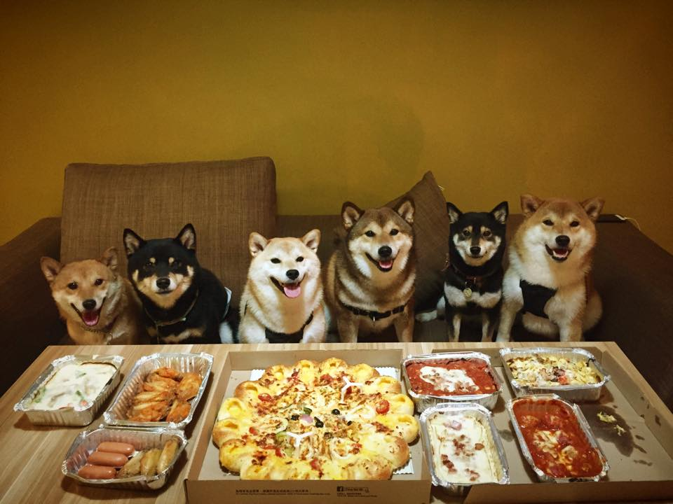 pizzadogzz.png