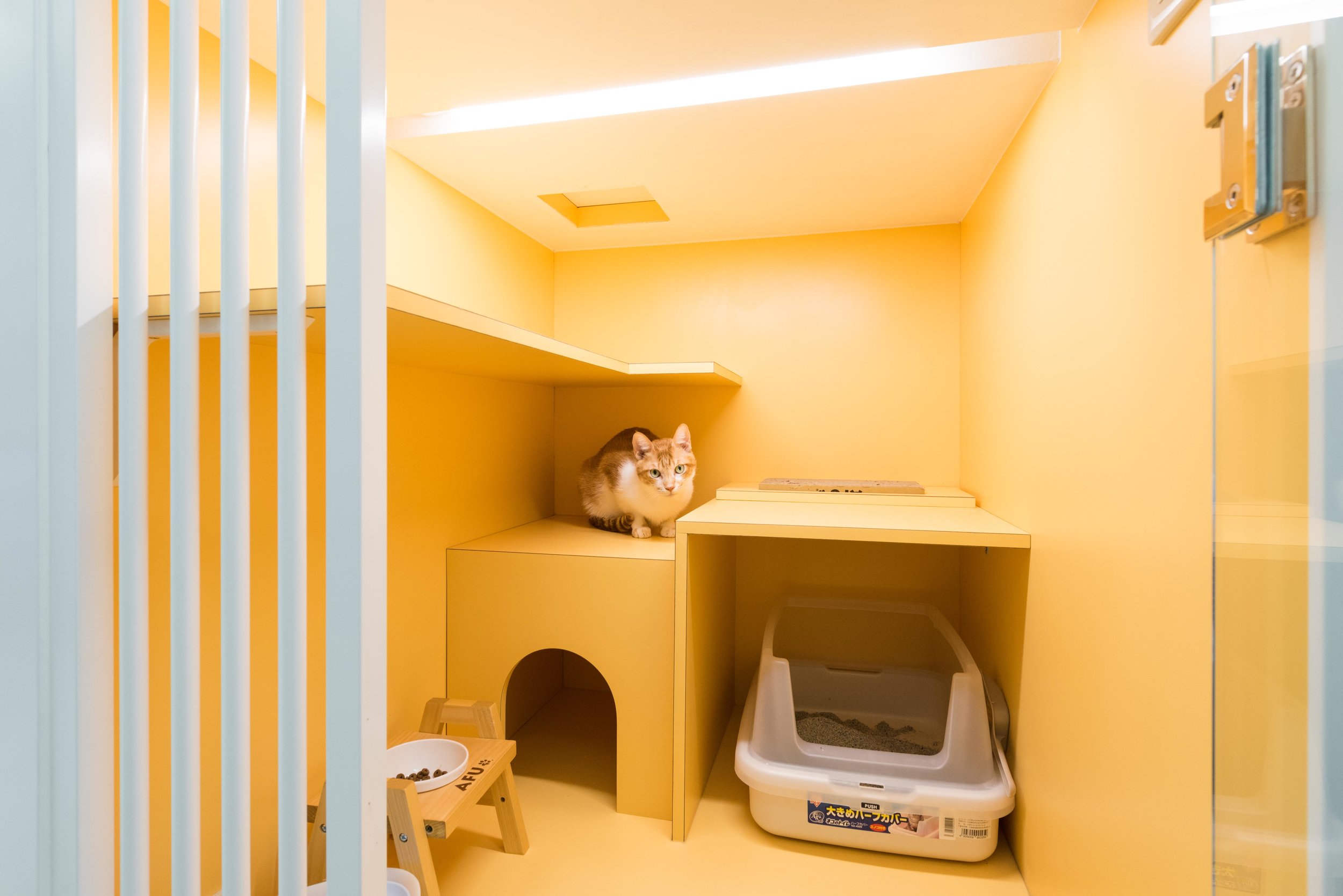 Pets_14.jpg