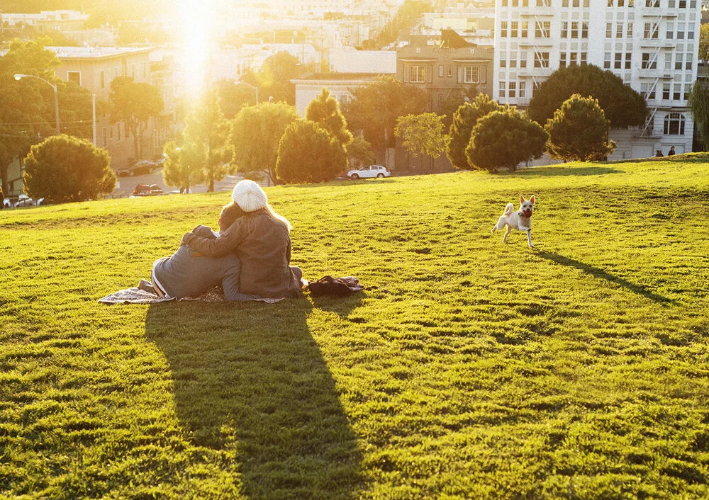 20131105_AlamoSquare_14.jpg