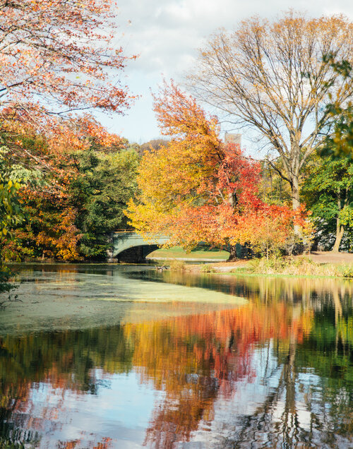 20141030_ProspectPark_017.jpg